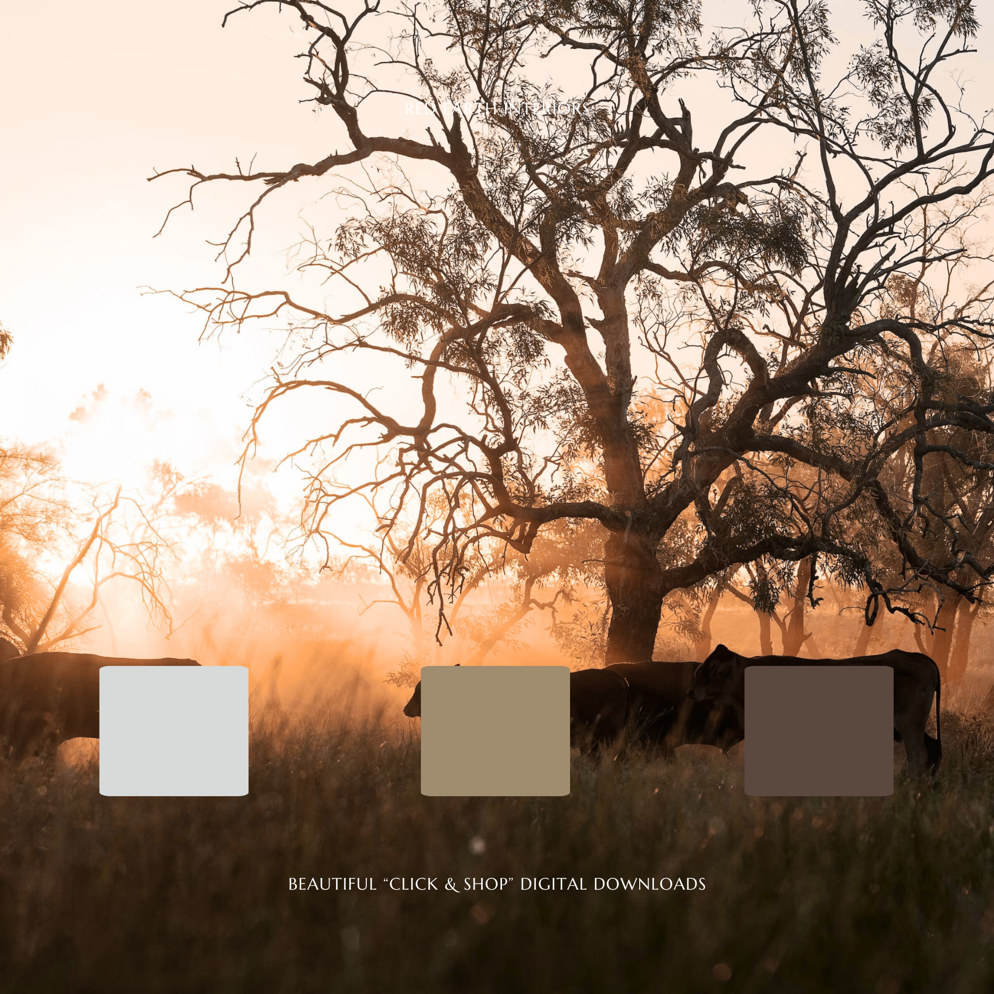 Red Earth Interiors - Paint 5.png