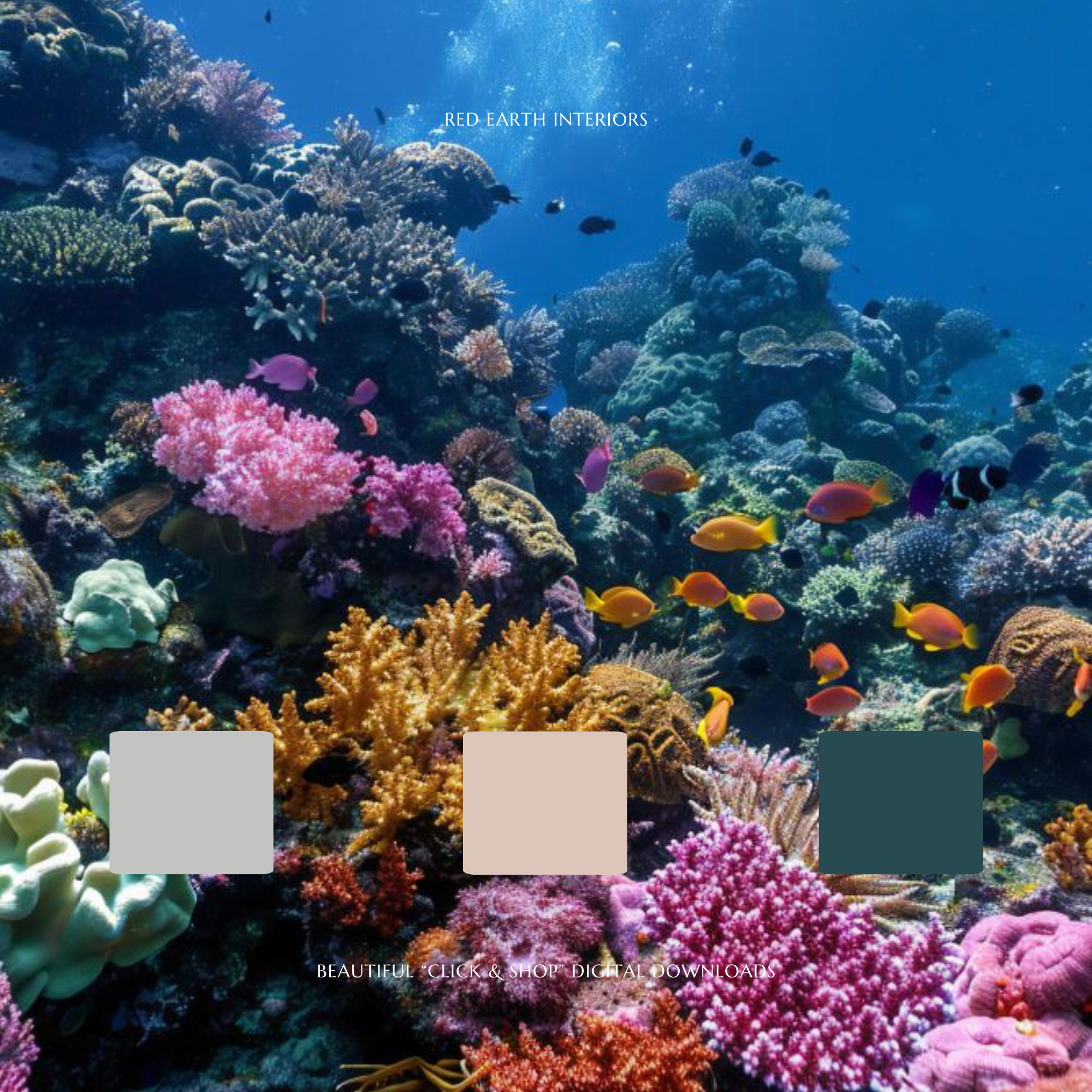 Red Earth Interiors - Thumbnail 3.png