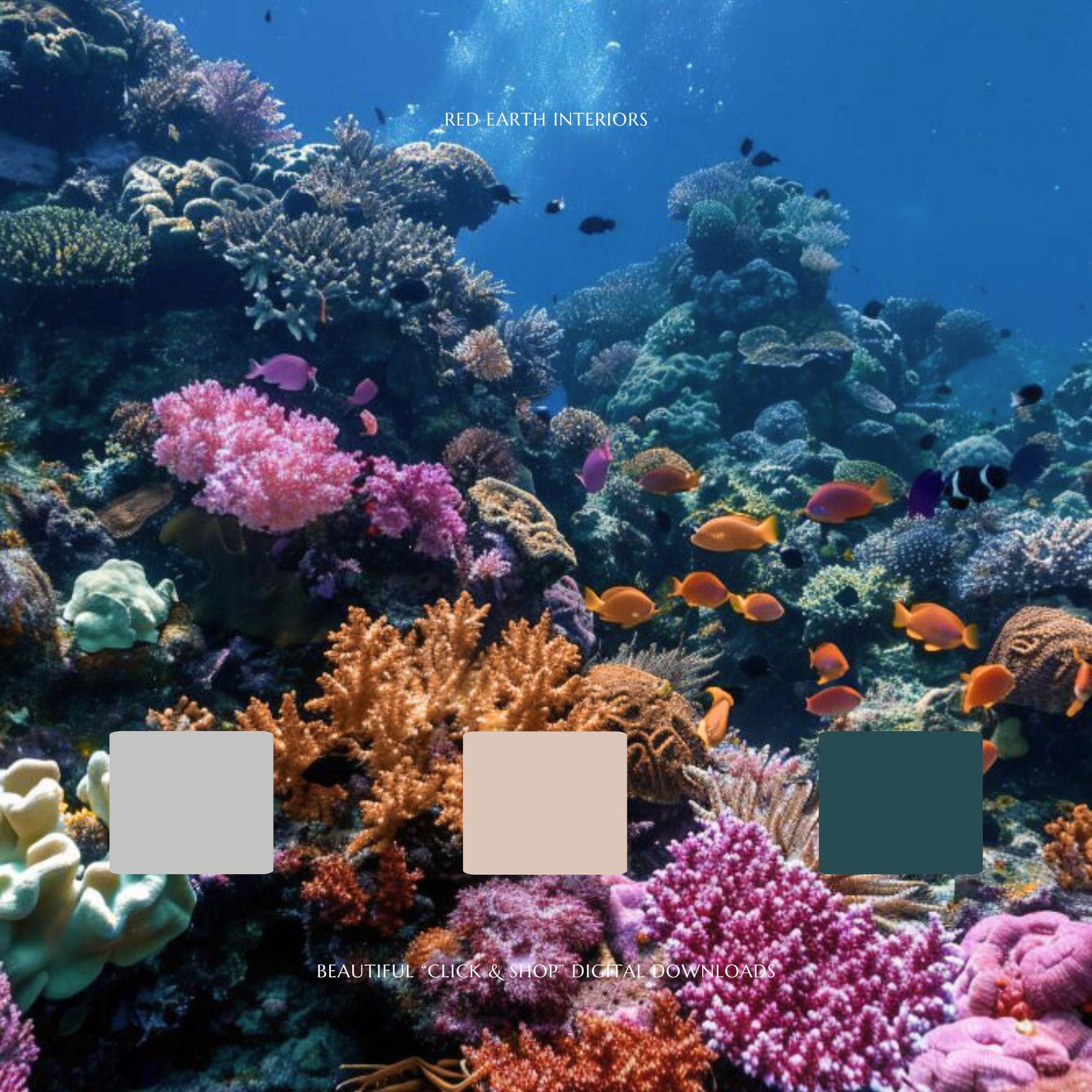 Red Earth Interiors - Paint 5.png