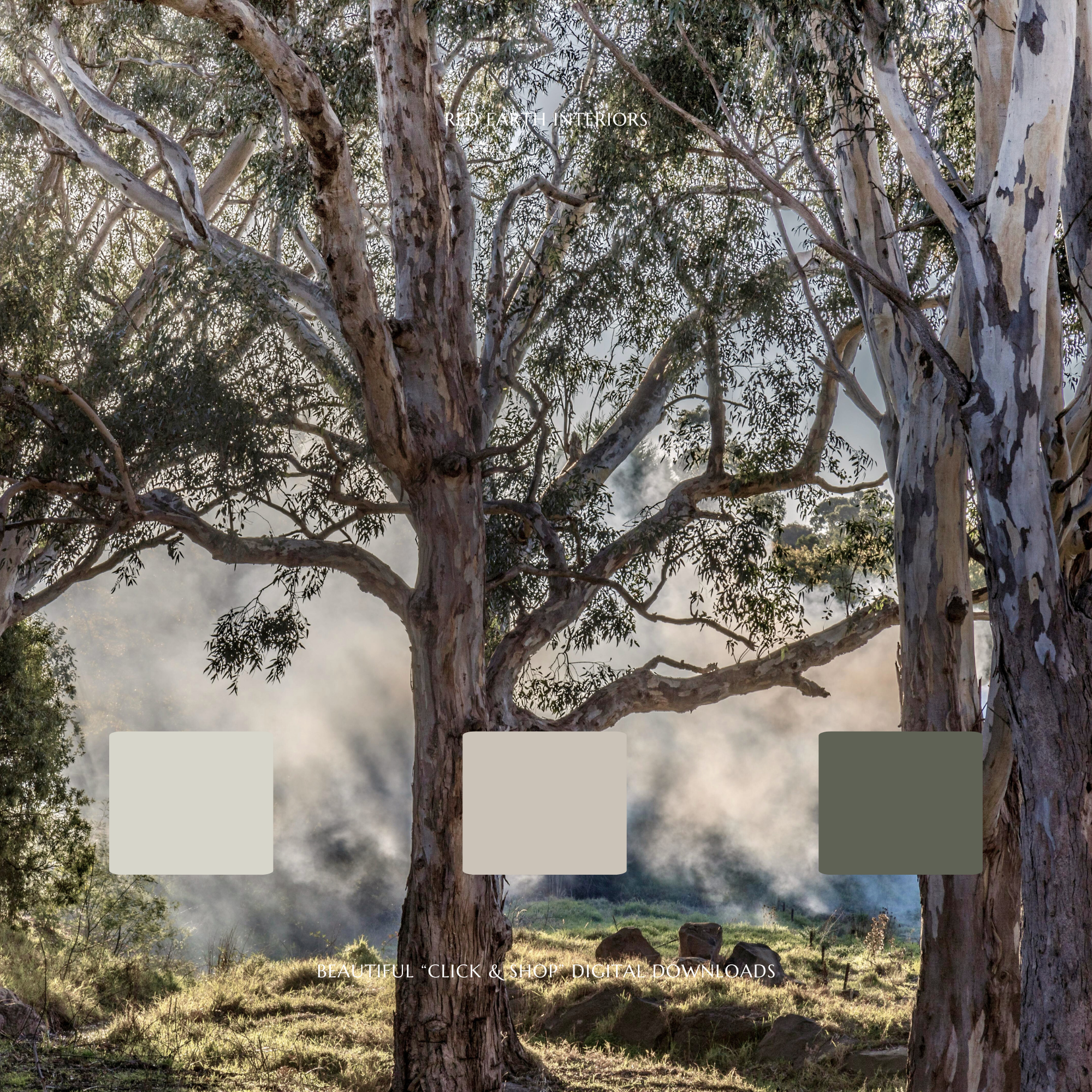 Red Earth Interiors - Thumbnail 4.png