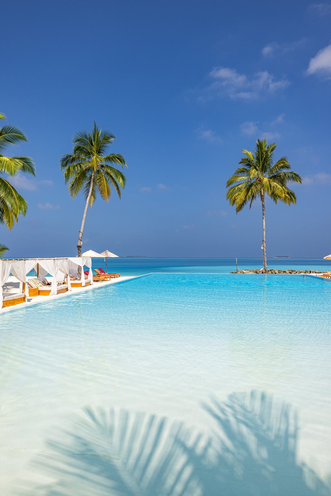 SSIV_Freshwaterpoolbar_Levi04242.jpg