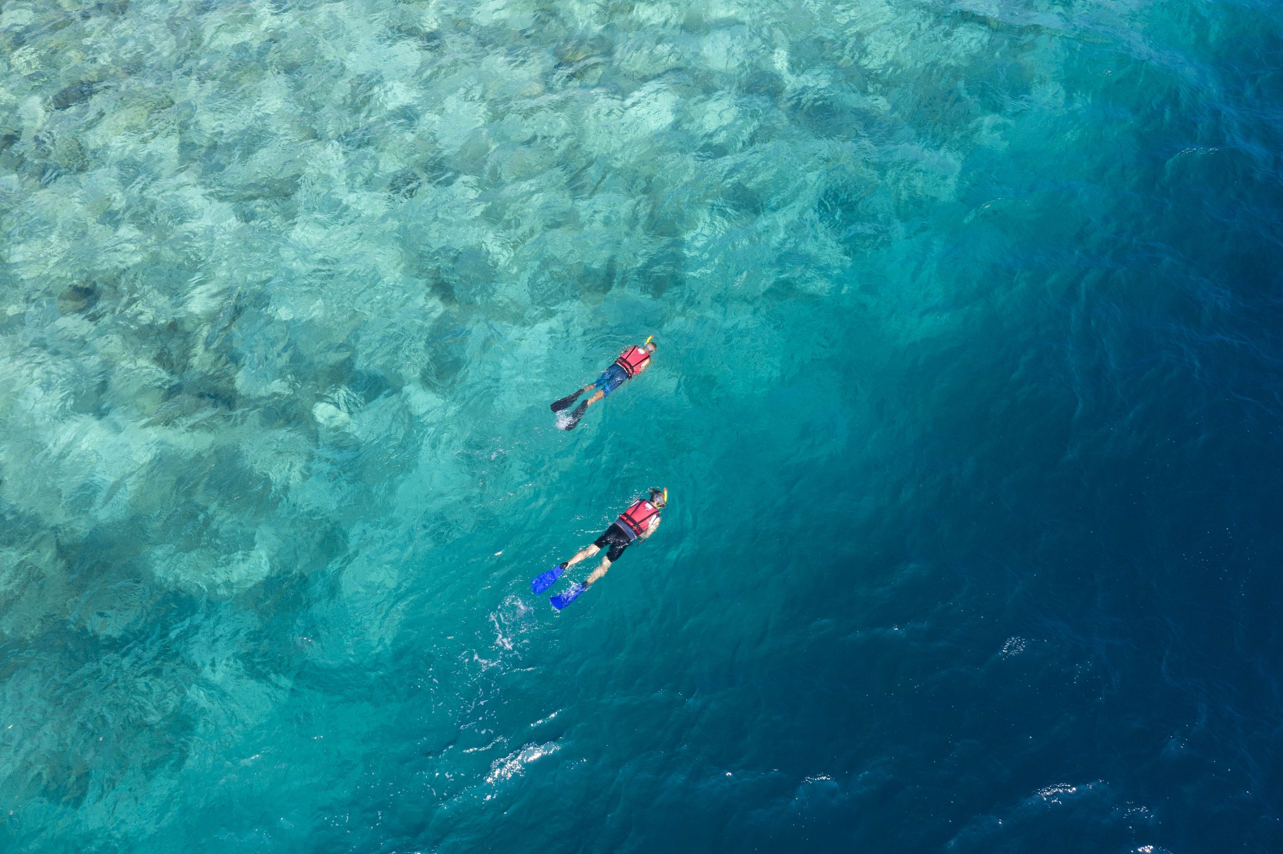 Westin Miriandhoo Maldives - Snorkeling