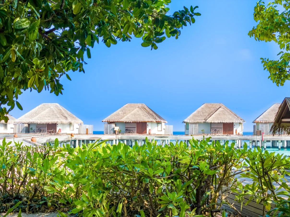 Dusit Thani Maldives - Waterfront Pool Villa