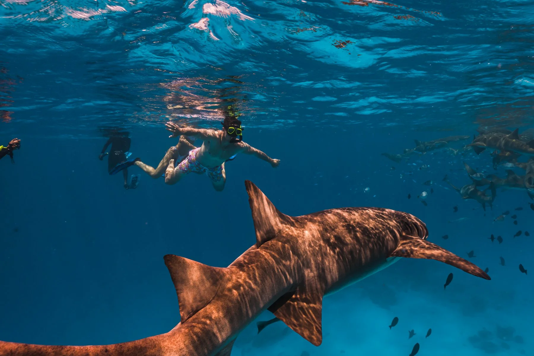 Snorkeling Safari _ 06.jpg