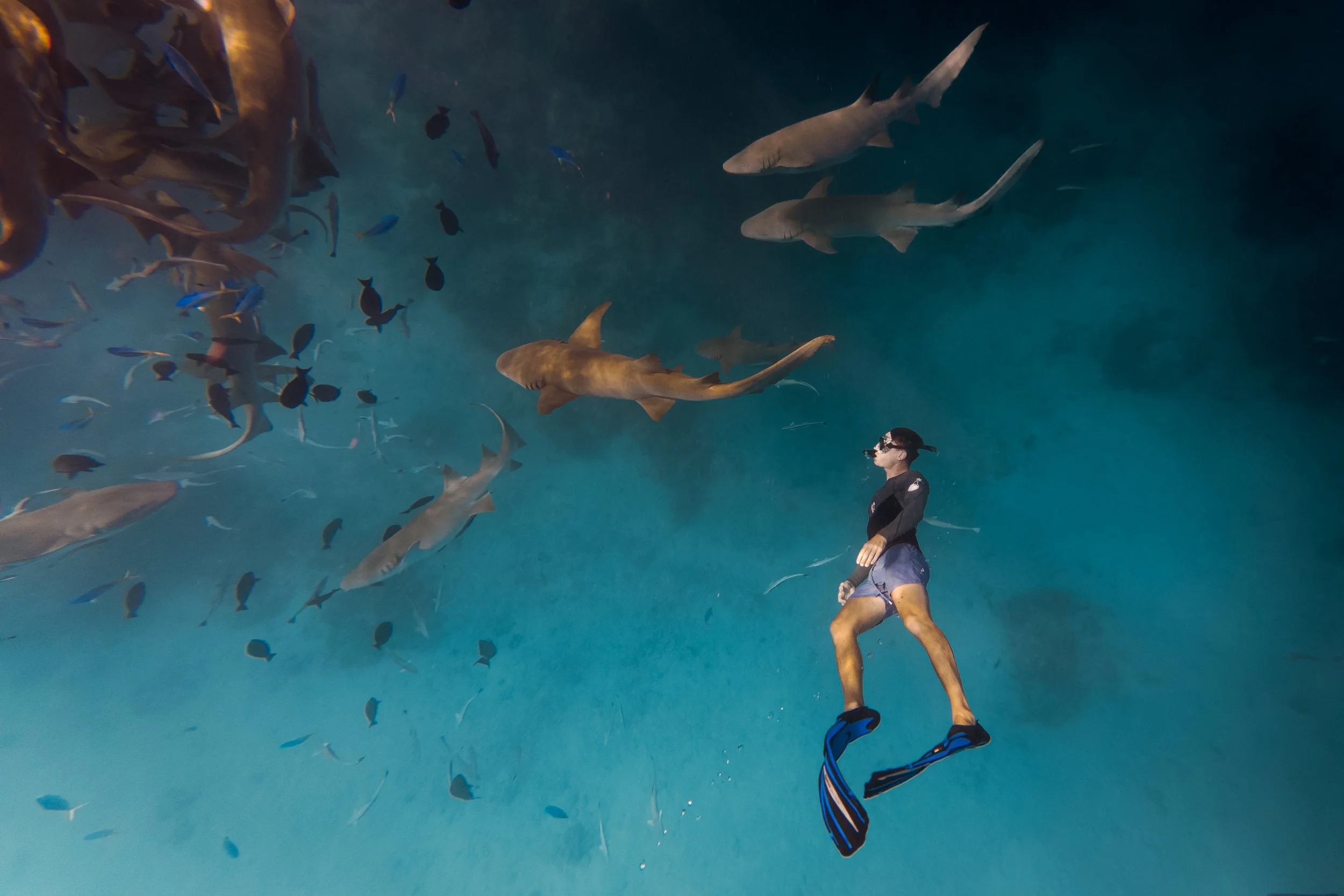 SO / Maldives - Snorkeling