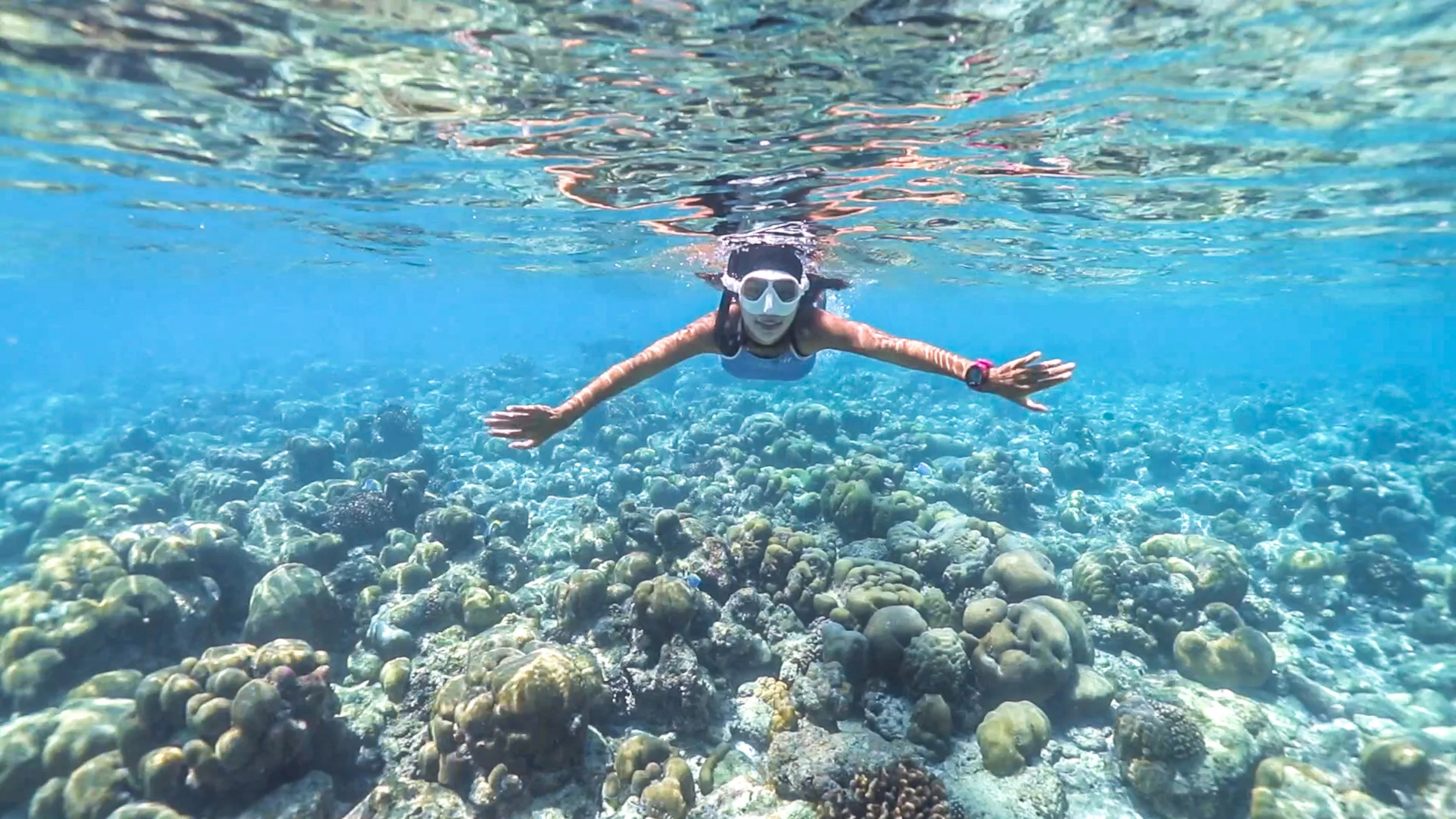 Cora Cora - Snorkeling