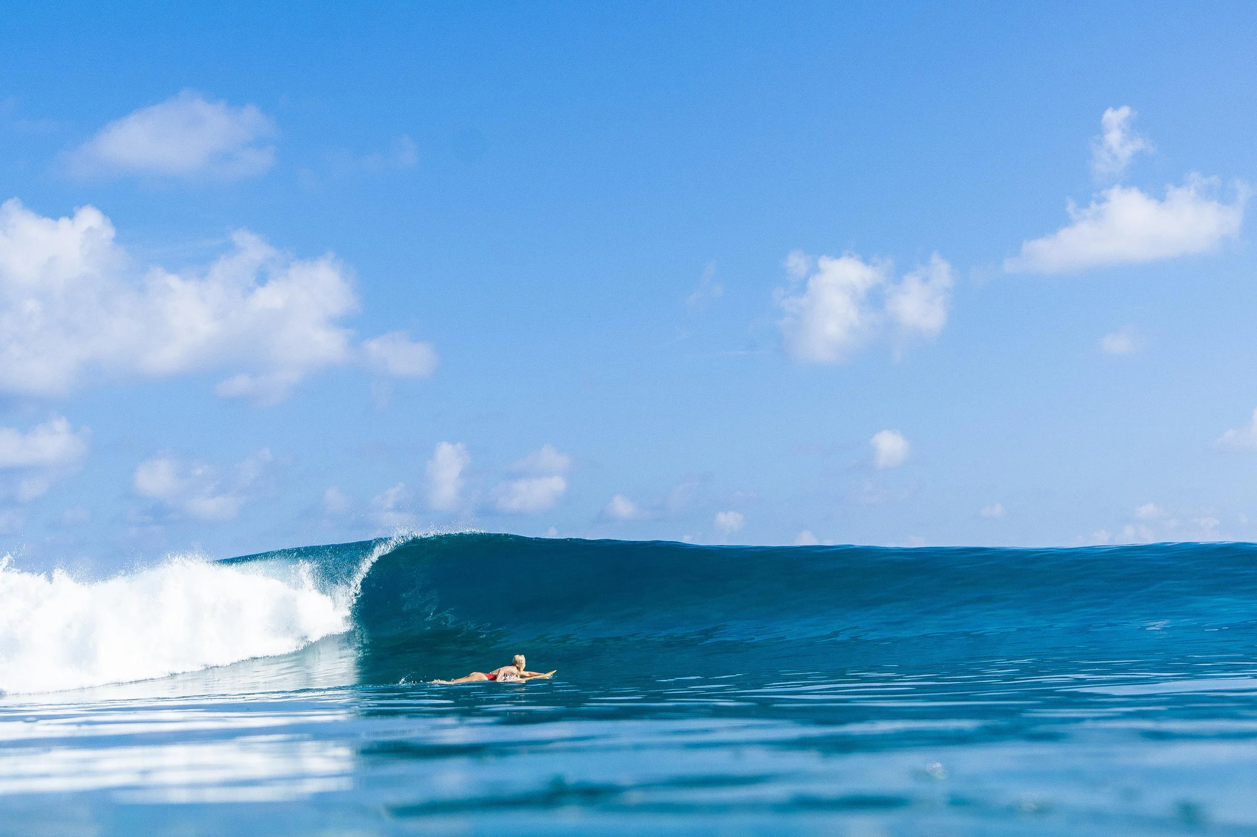 Niyama Private Islands Maldives - Surfing