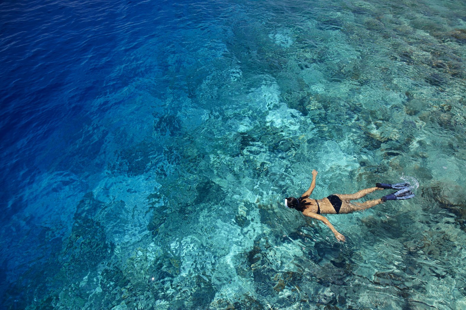 Dusit Thani Maldives - Snorkeling