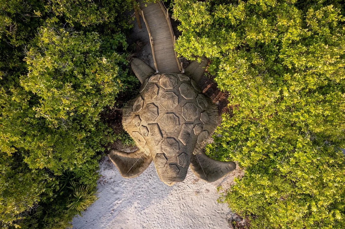 Turtle Tree House - Destination Dining