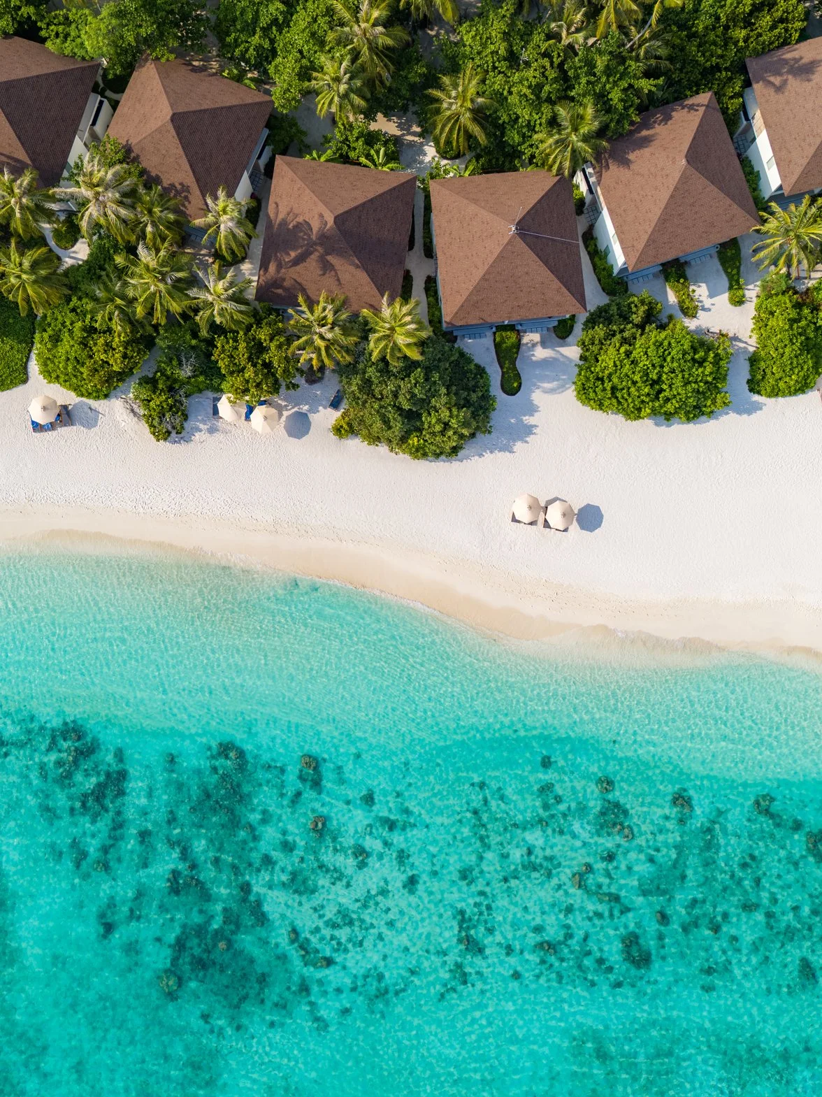 4 Bedroom Beach Pavilion - Avani+ Fares Maldives (2)-1176x1569.jpg
