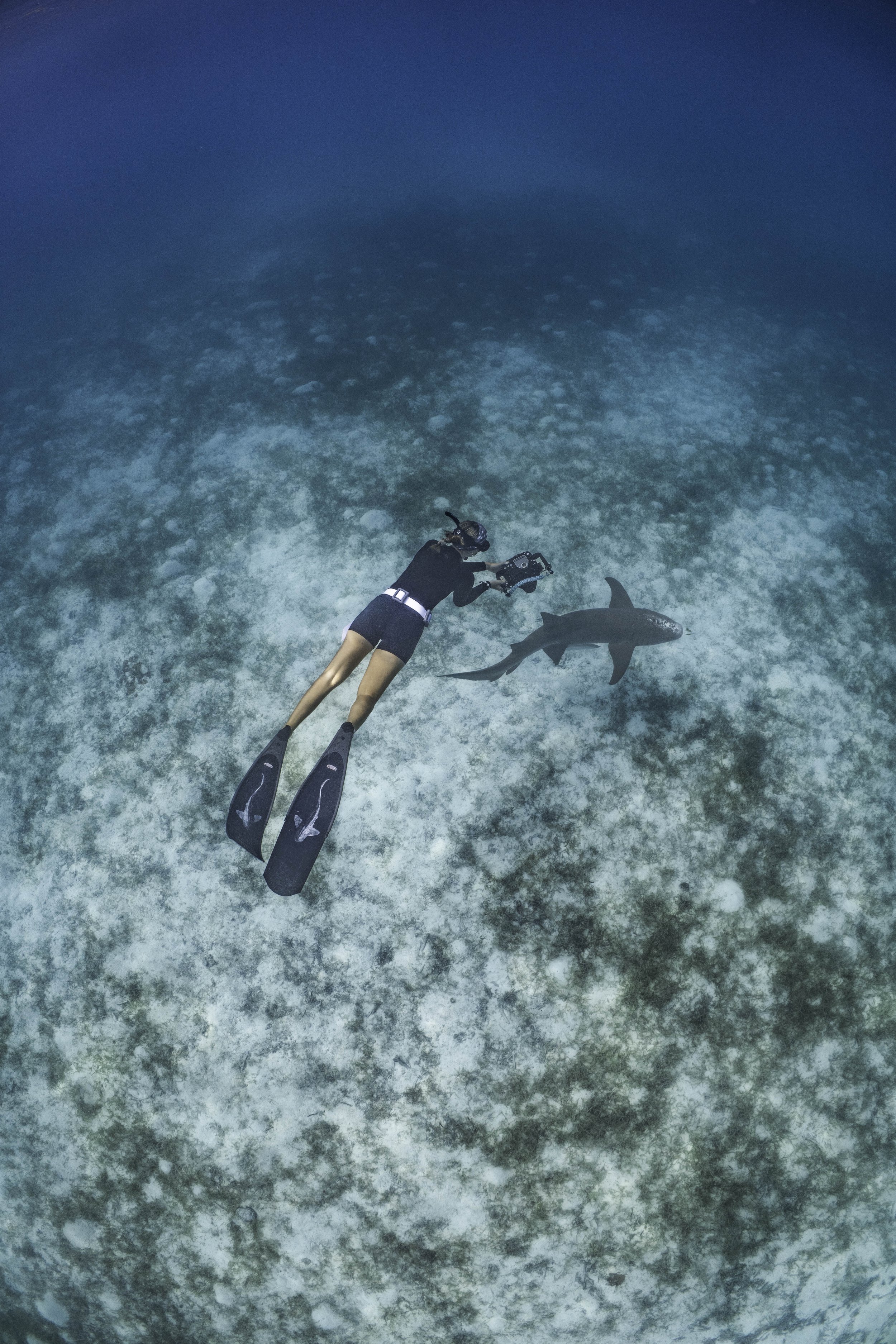 Free Diving