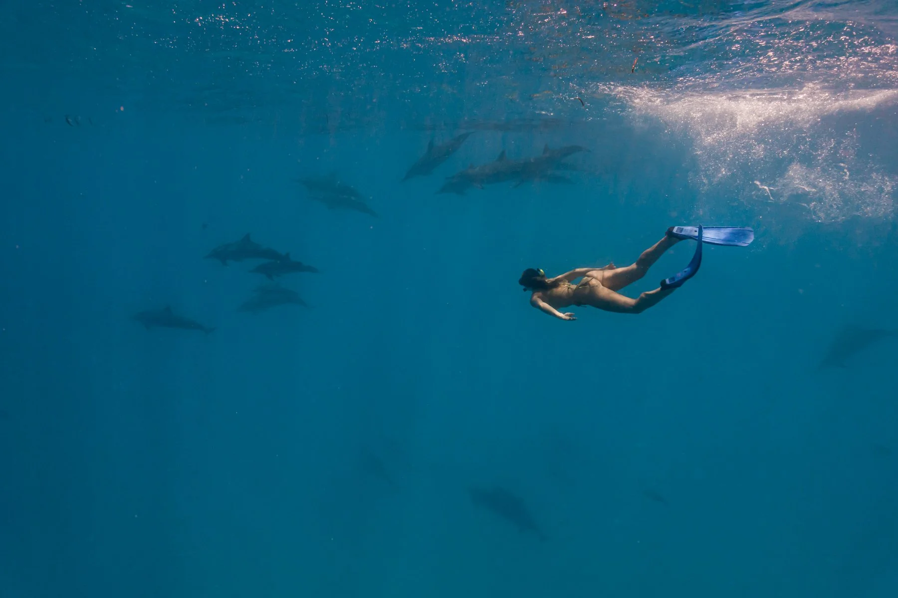 Snorkeling Safari _ 11.jpg