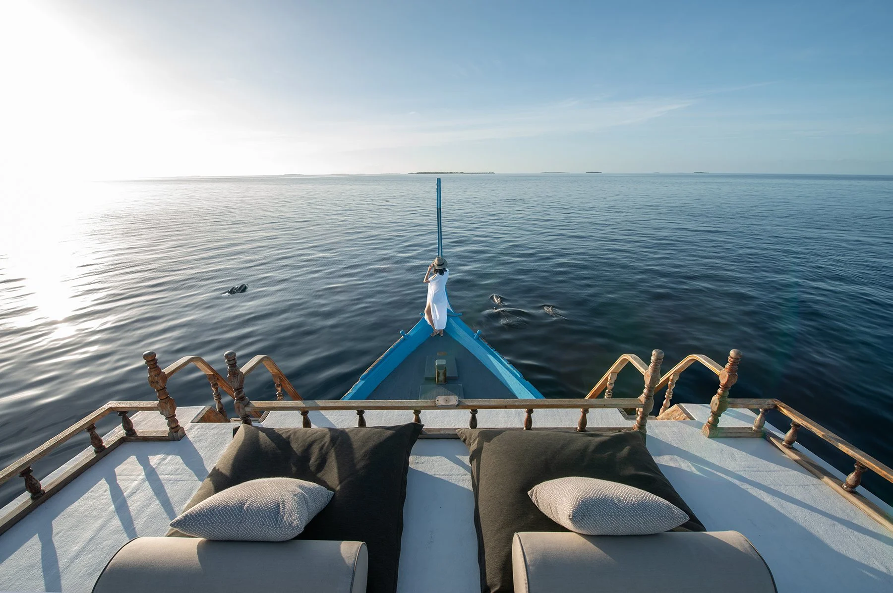 Alila Kothaifaru - Dolphin Cruise