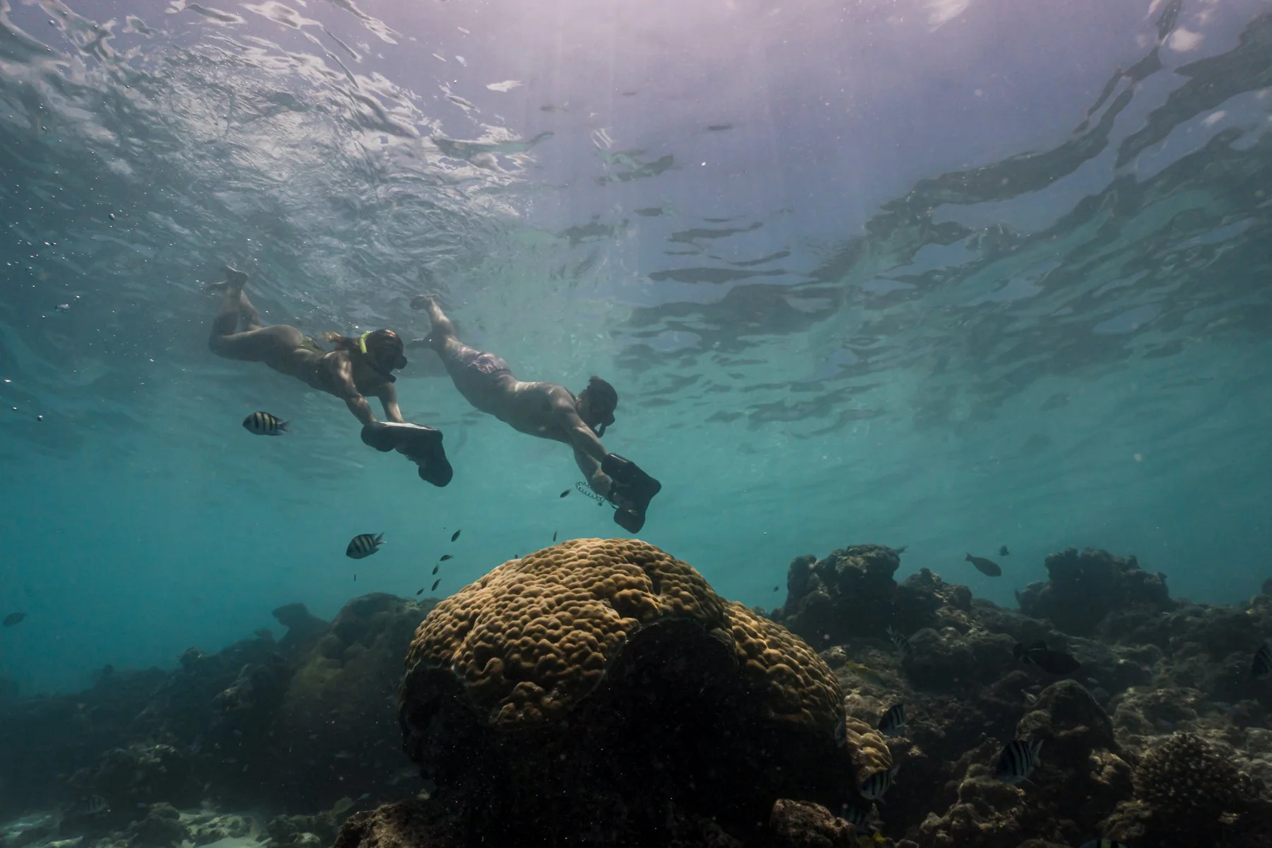 Scooter Snorkeling _ 05.jpg