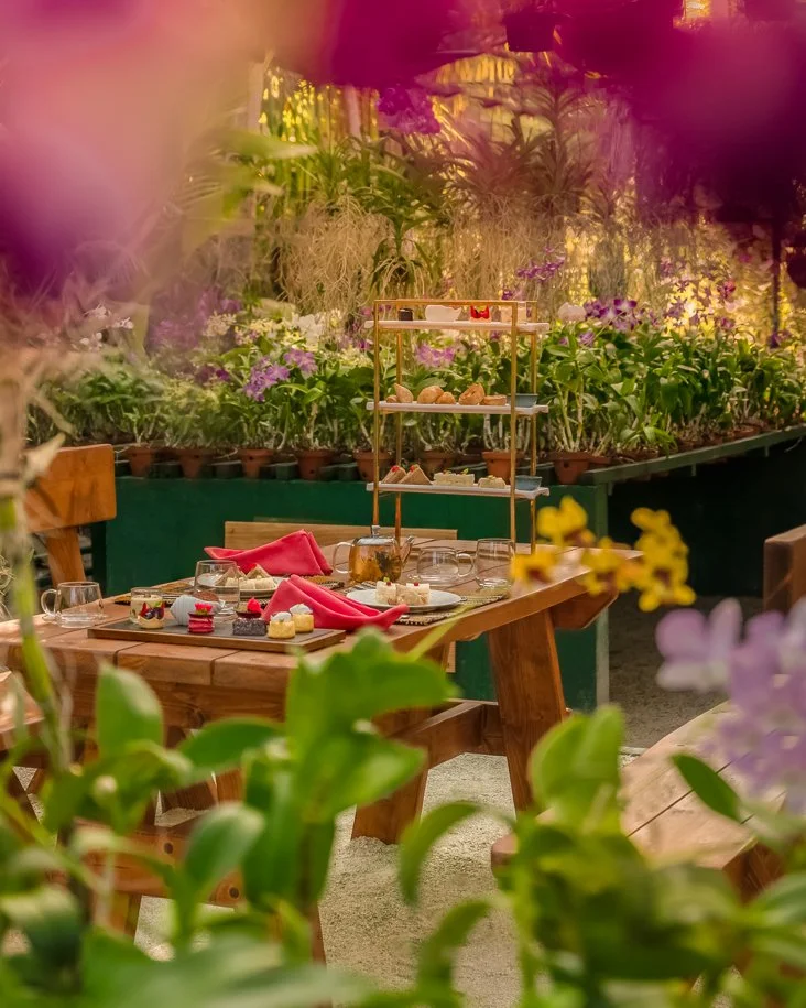 Maldivian Afternoon Tea at Nala Orchid Garden - Anantara Kihavah Maldives Villas-732x915.jpg