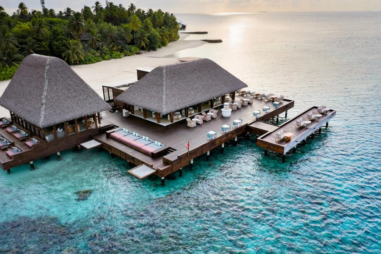 W Maldives - Fish
