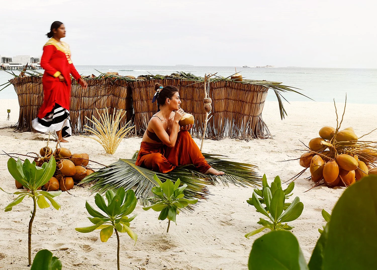 Alila Kothaifaru - Coconut Art