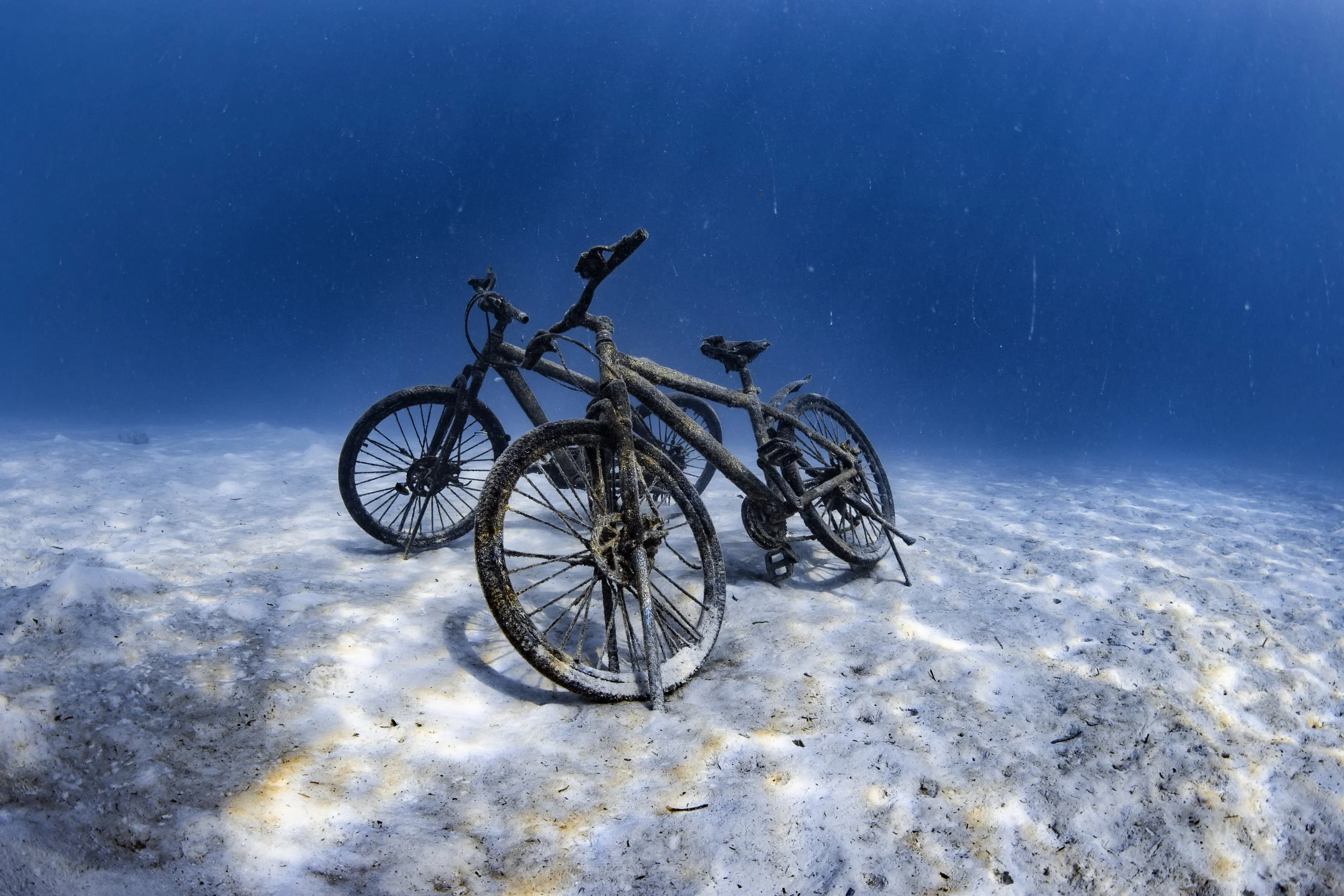 Underwater Housereef Bicycles