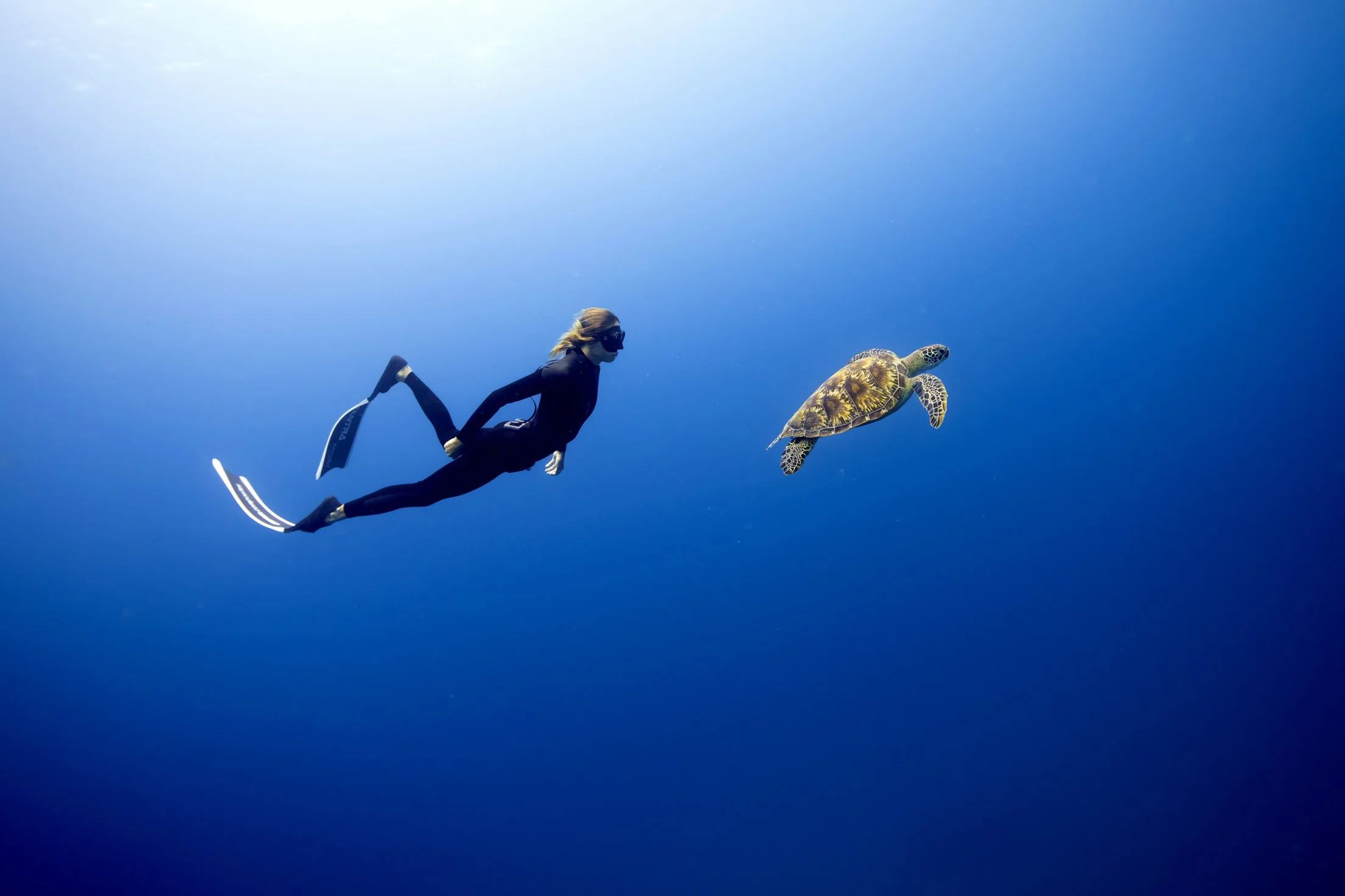 Dusit Thani Maldives - Free Diving