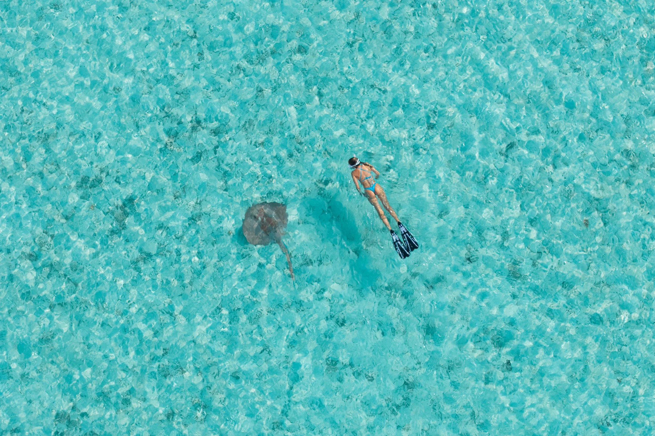 SO / Maldives - Snorkeling