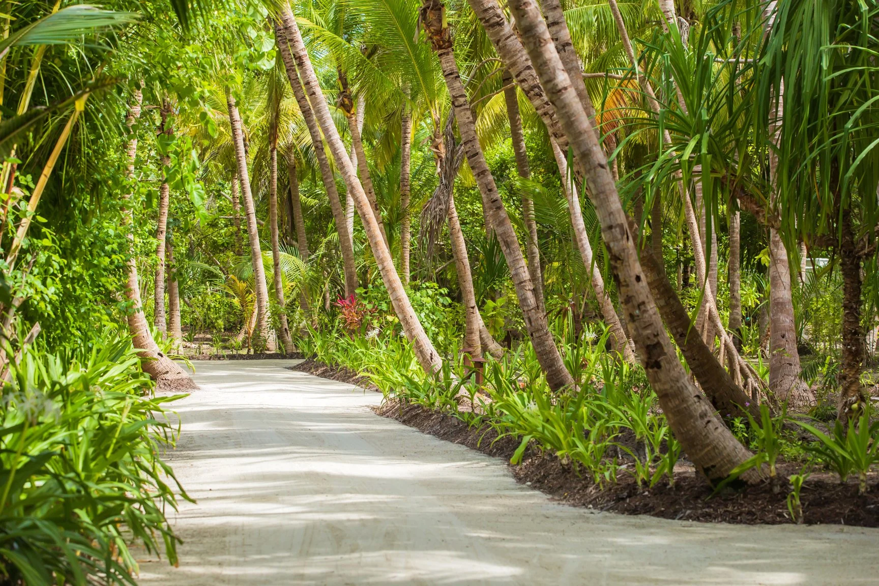 Dusit Thani Maldives - Walking Path