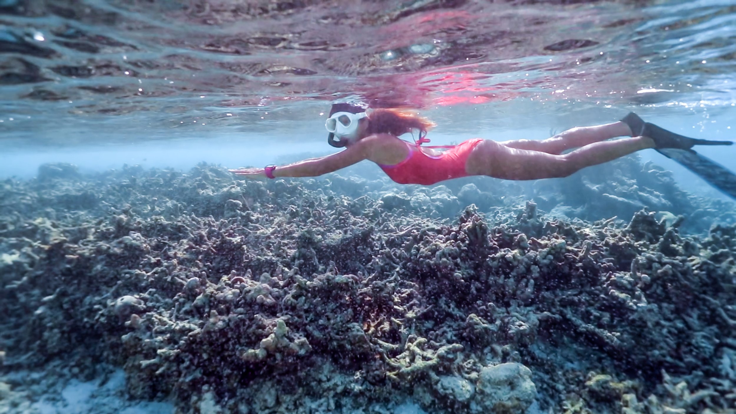 Cora Cora - Snorkeling