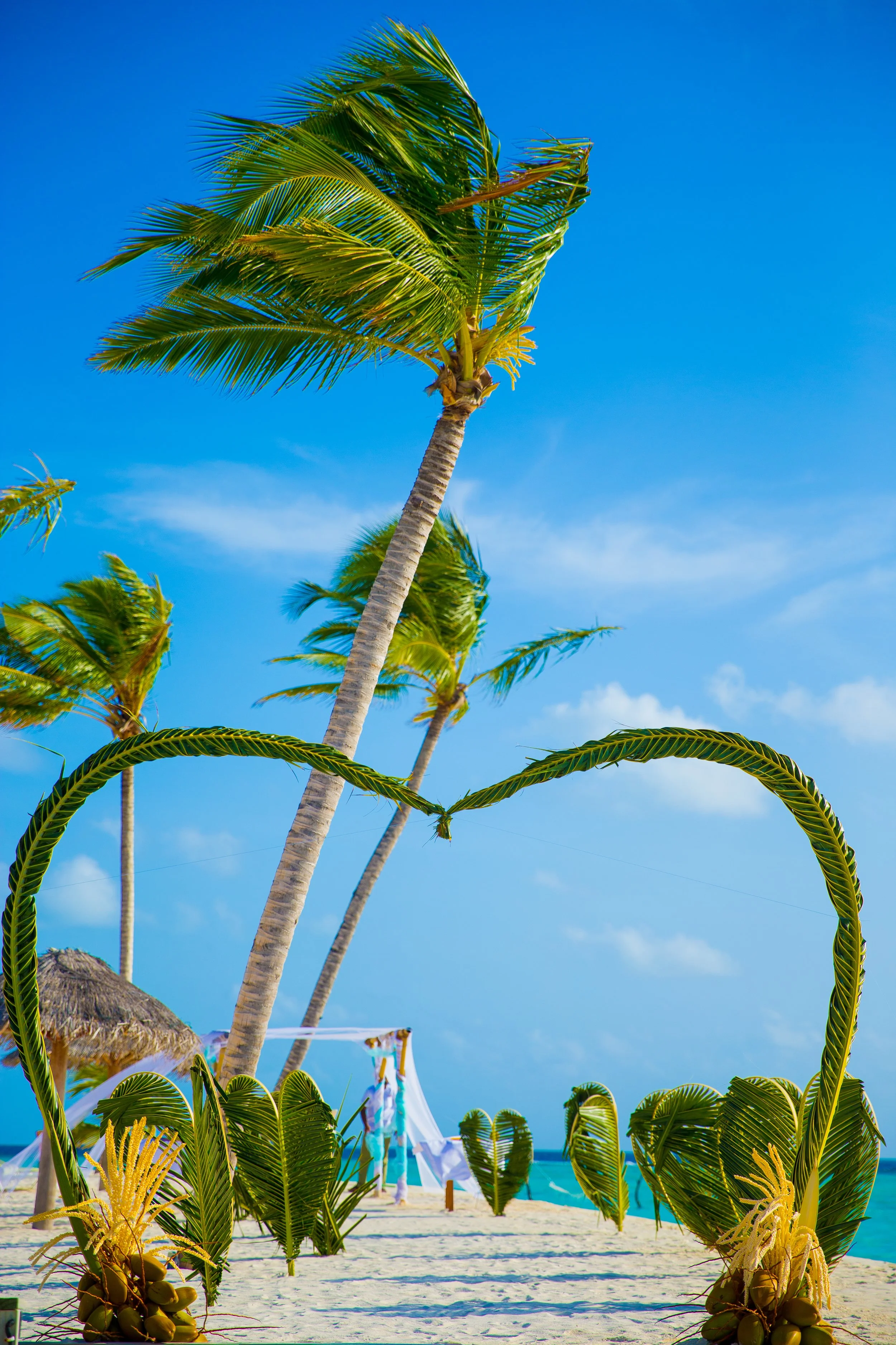 Furaveri Maldives - Wedding Setup