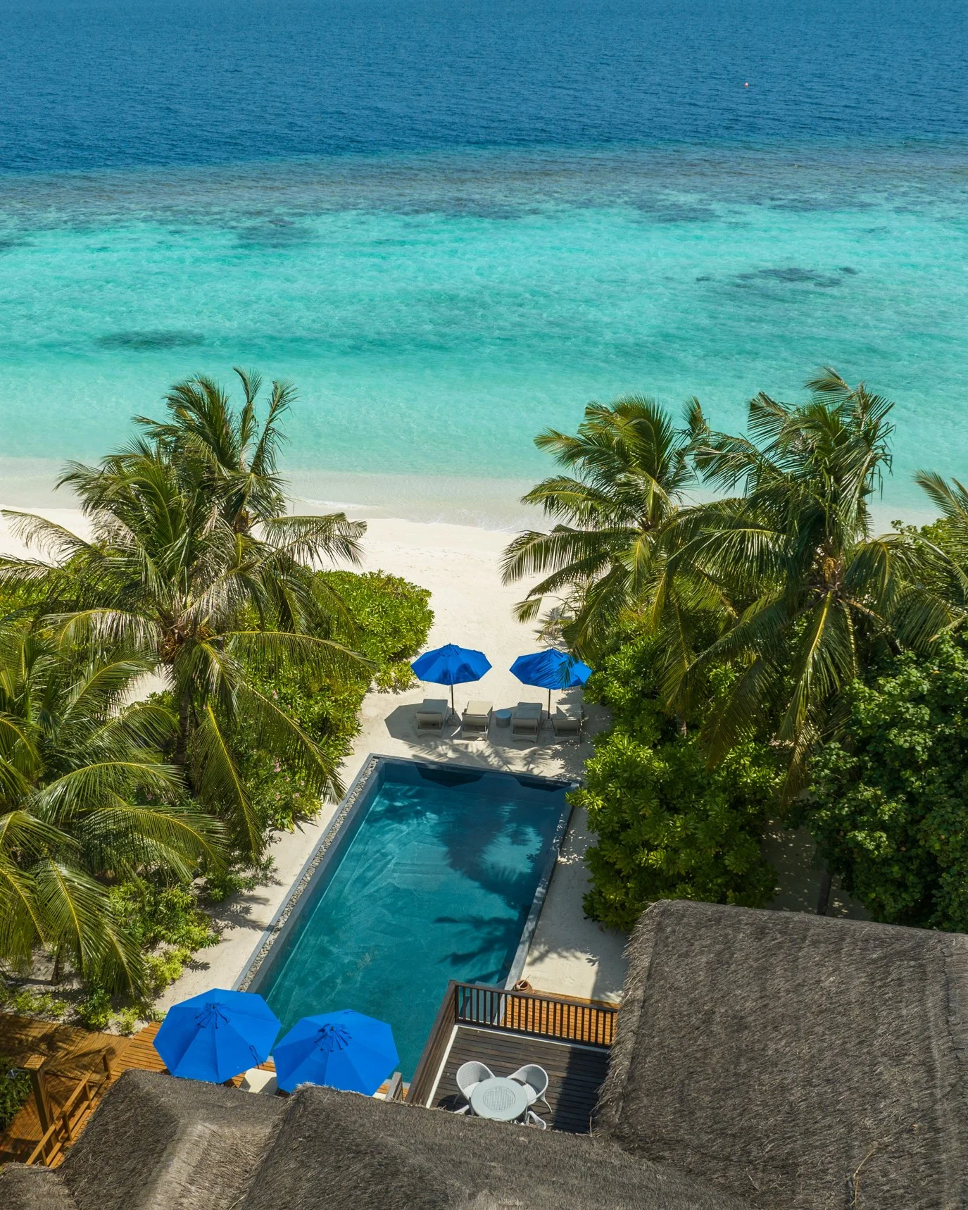 Dusit Thani Maldives - Pool