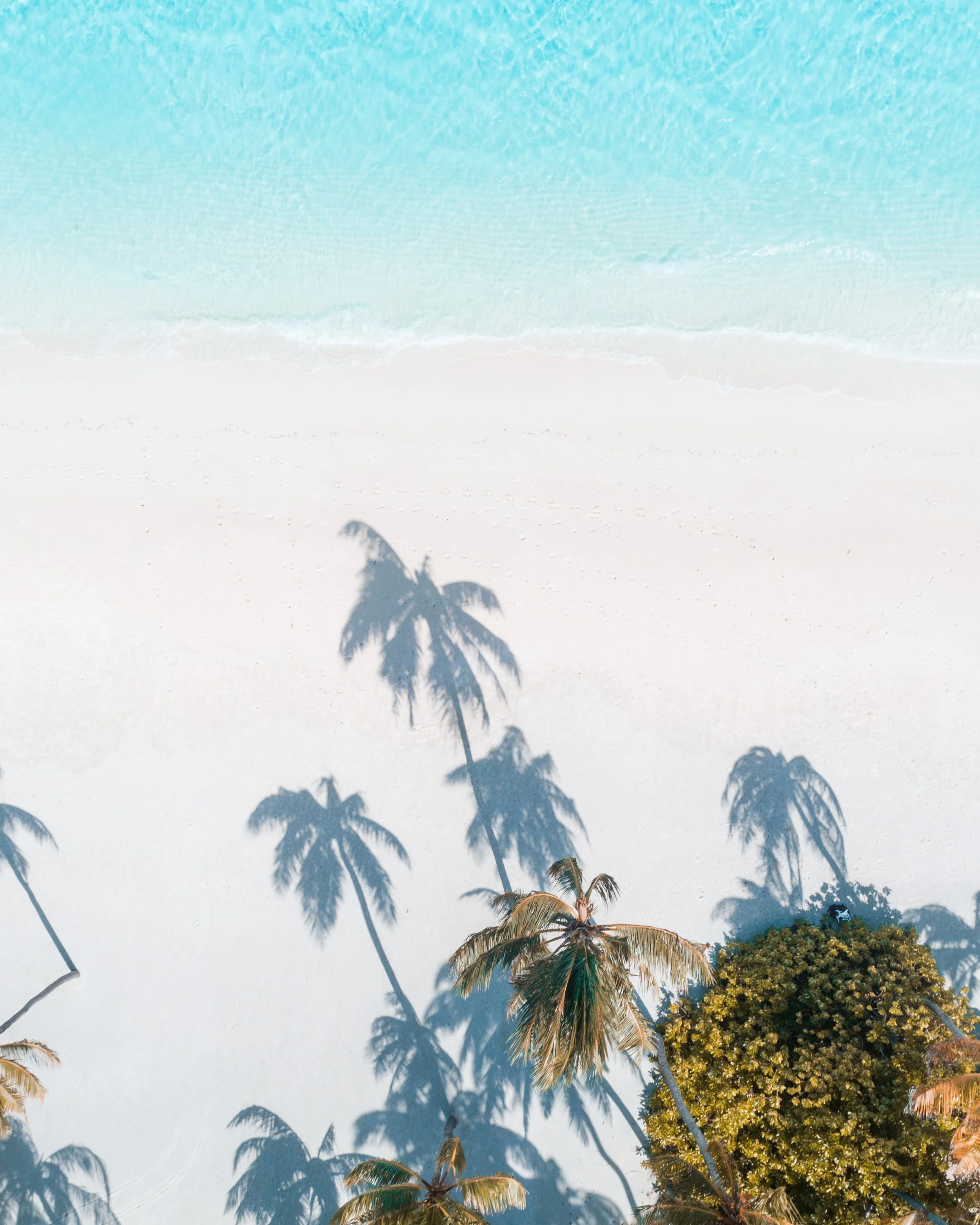 SO / Maldives - Aerial View