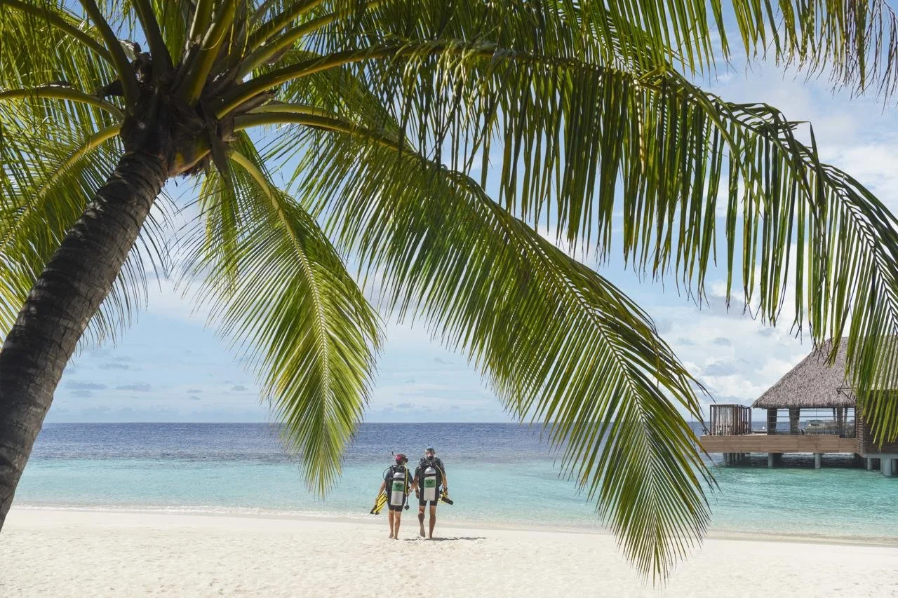 W Maldives Shore Diving