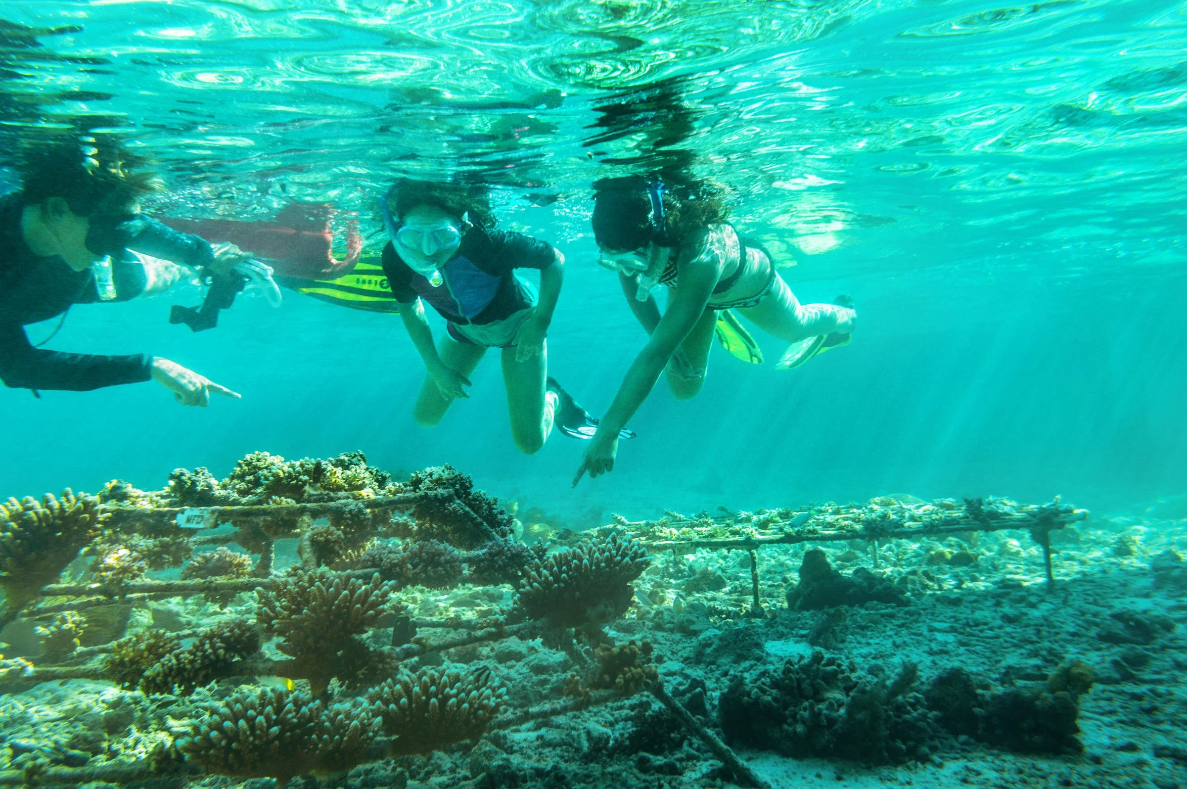 Como Maalifushi Maldives - Snorkeling