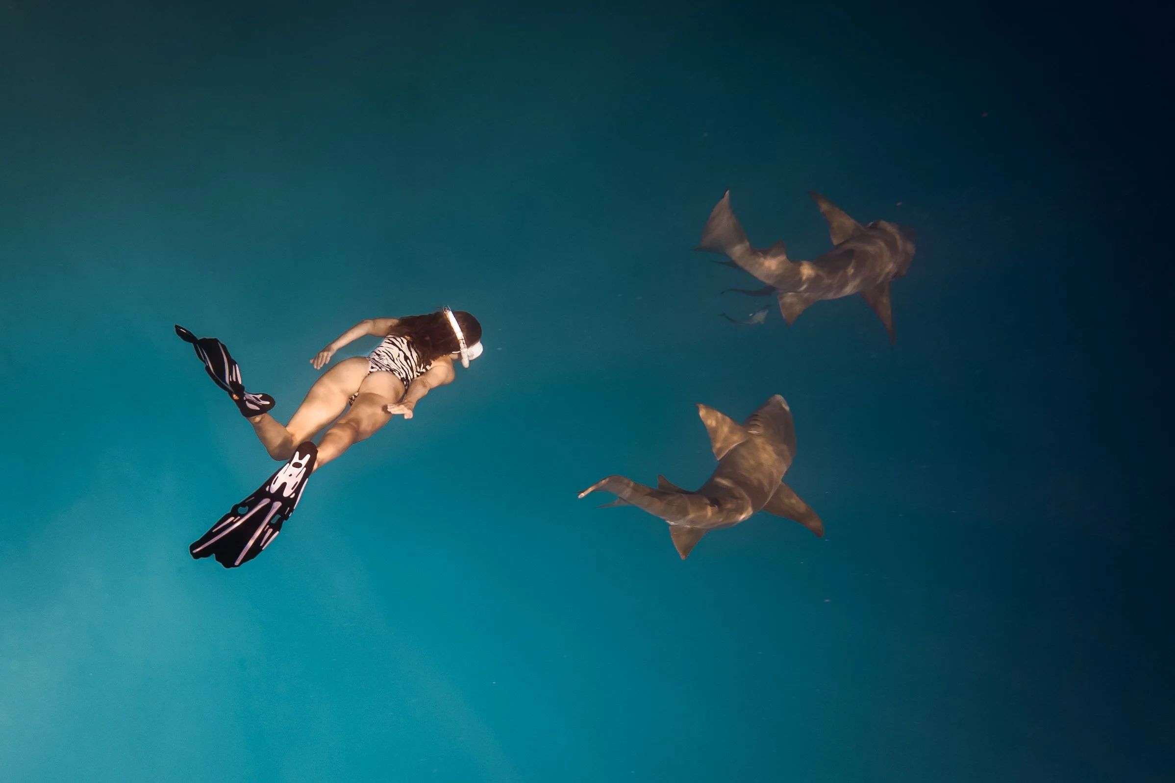 SO / Maldives - Snorkeling