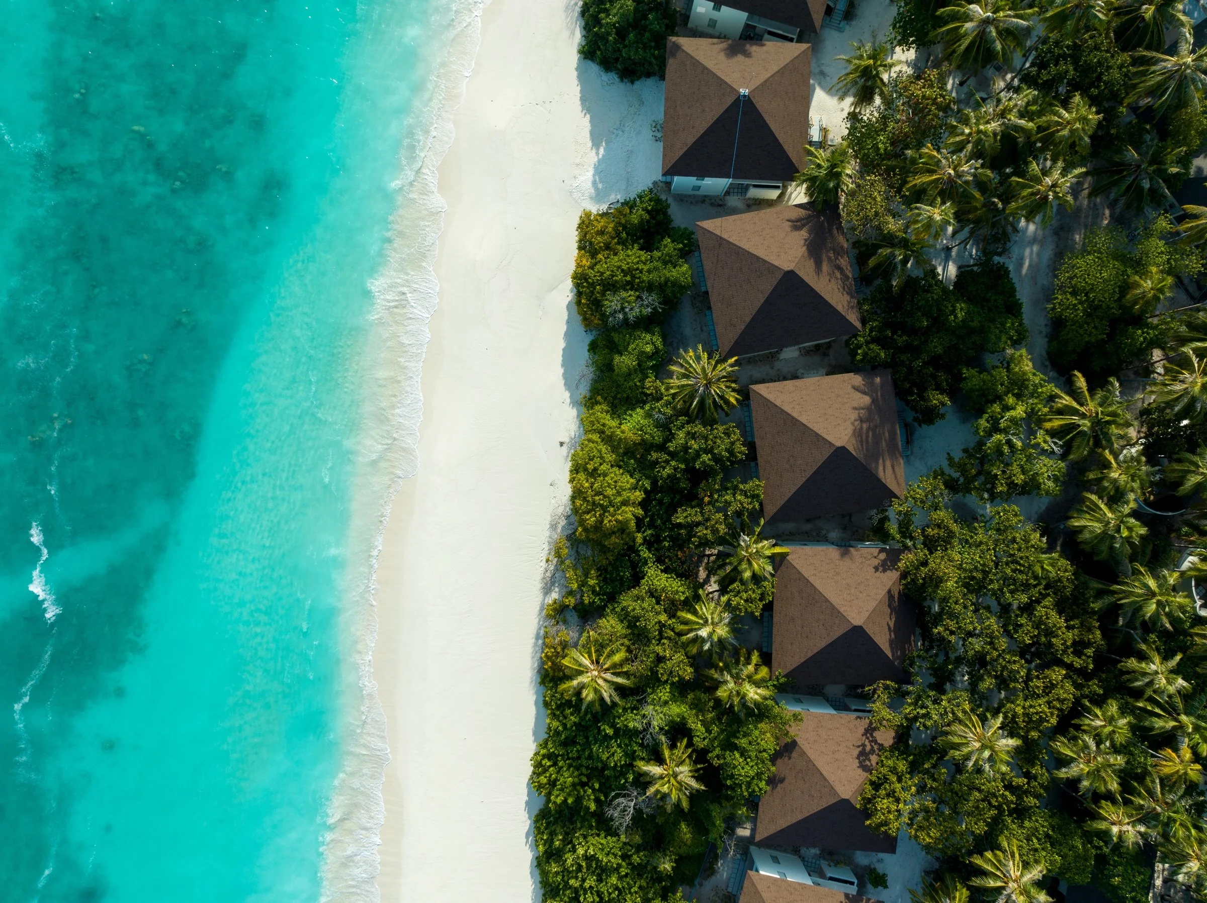 Beach Aerial View - Pavilion - Avani+ Fares Maldives (1)-2400x1797.jpg