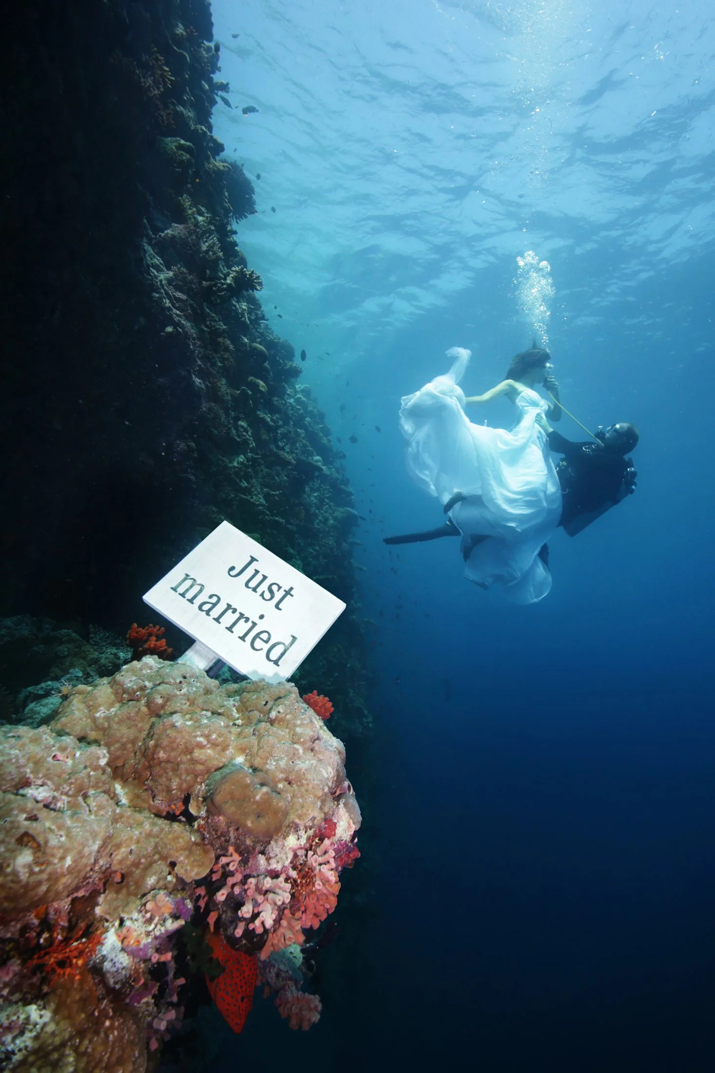 Anantara Kihavah - Underwater Wedding-1459x2188.jpg
