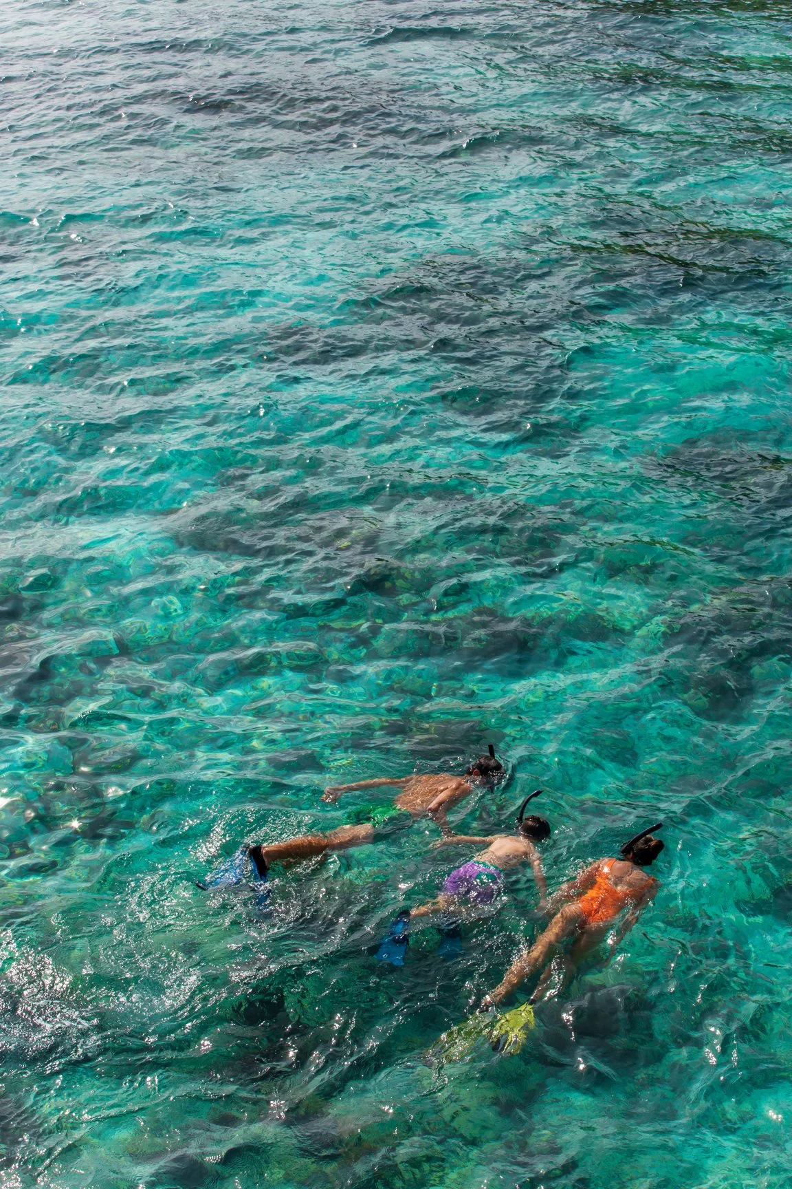Dusit Thani Maldives - Snorkeling