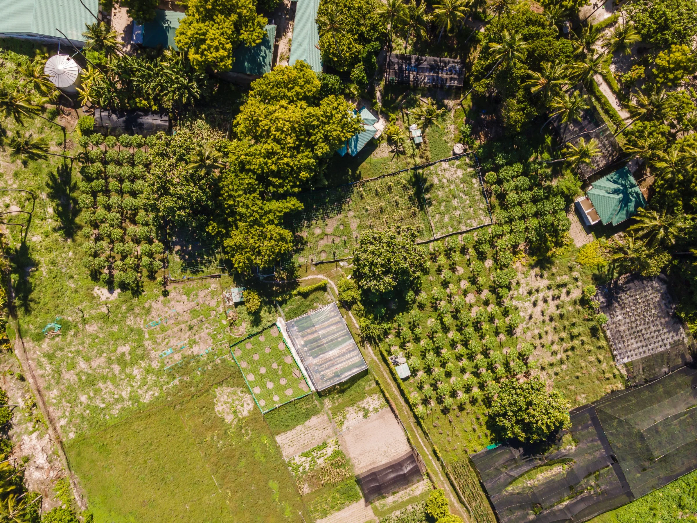 Farm Island _ 01.jpg