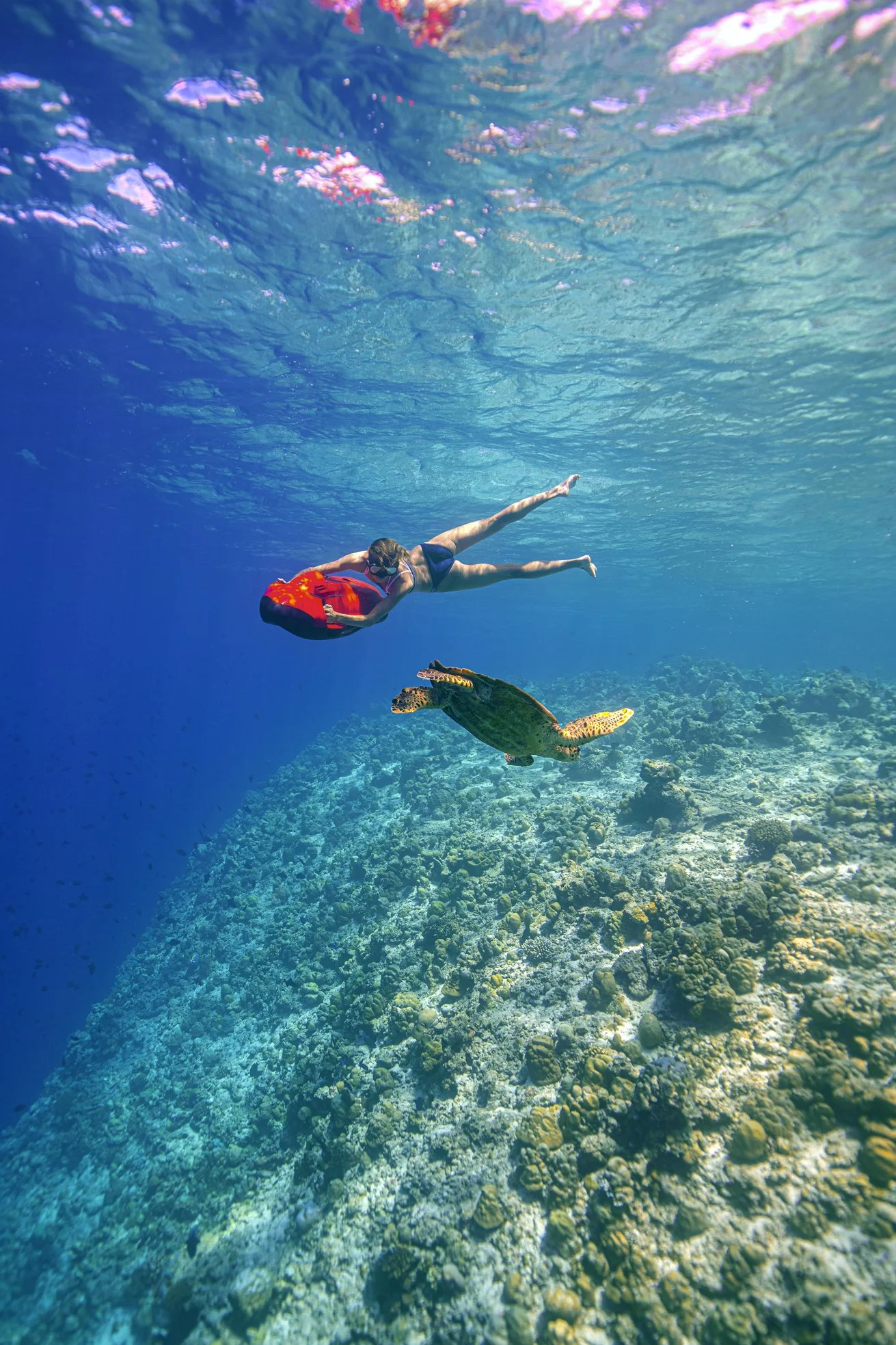 Dusit Thani Maldives - Sea Scooter