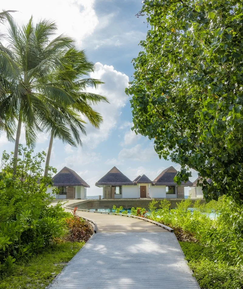 dusitd2-feydhoo-maldives-accommodation-Two Bedroom Party Suite with Private Pool-&-Two Bedroom Family Suite with Private Pool-exterior-overview-2-800x951.jpg