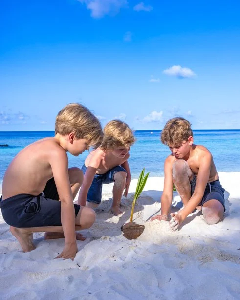 Avanikids - Coconut Planting