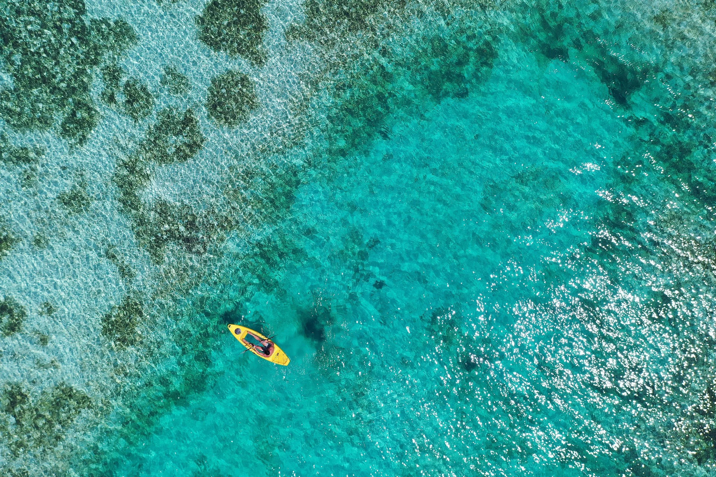Watersports - Kayak