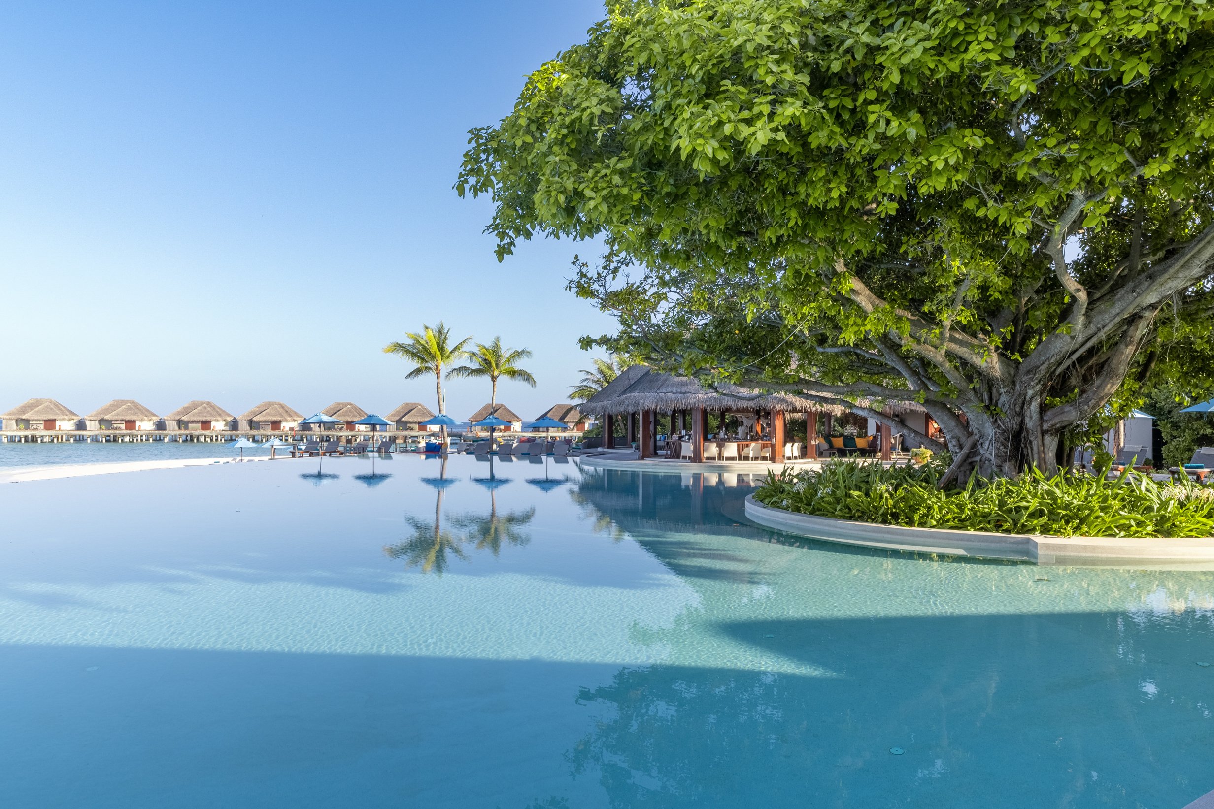 Dusit Thani Maldives - Pool