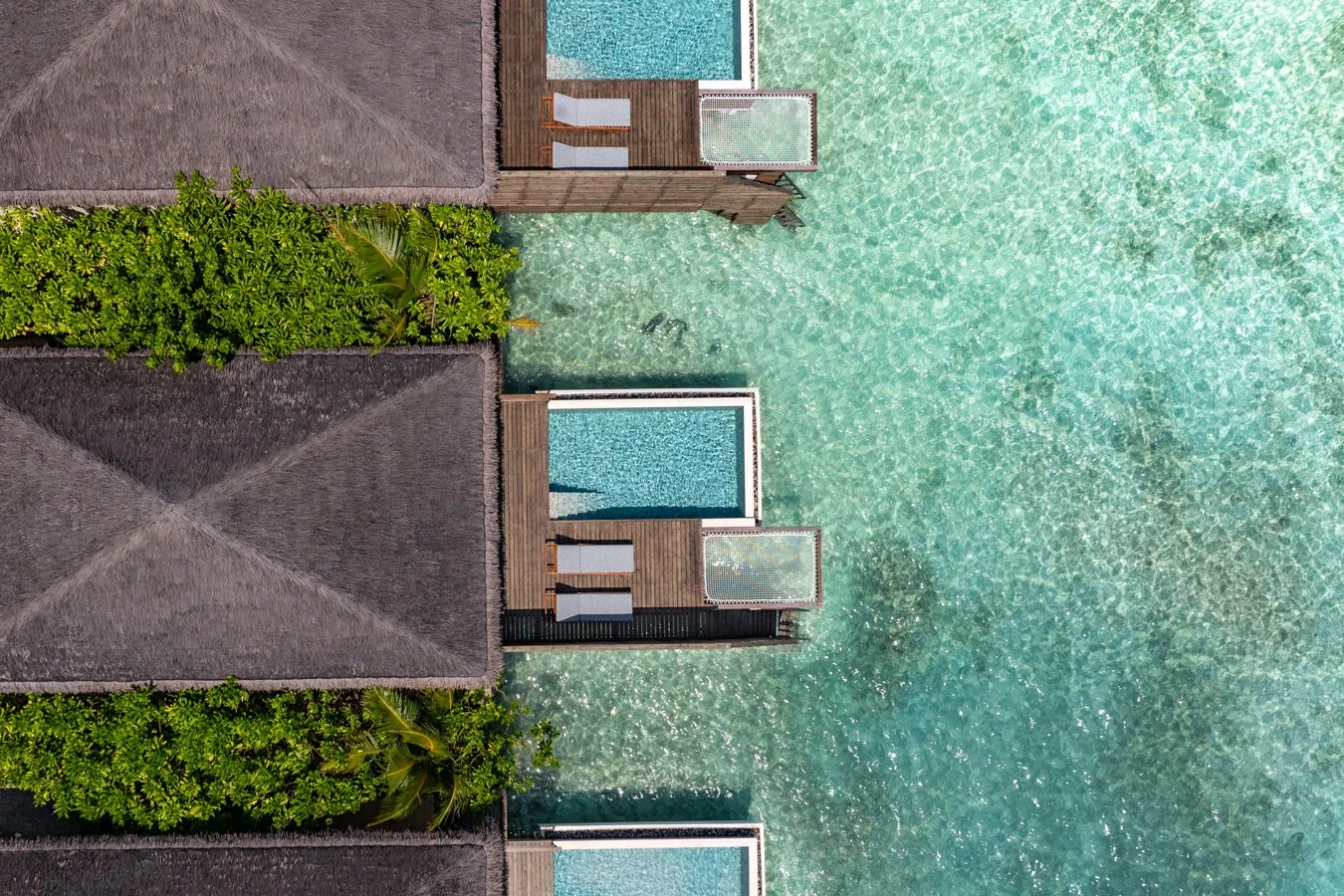 dusitd2-feydhoo-maldives-accommodation-waterfront-pool-villa-pool- aerial-1350x900.jpg