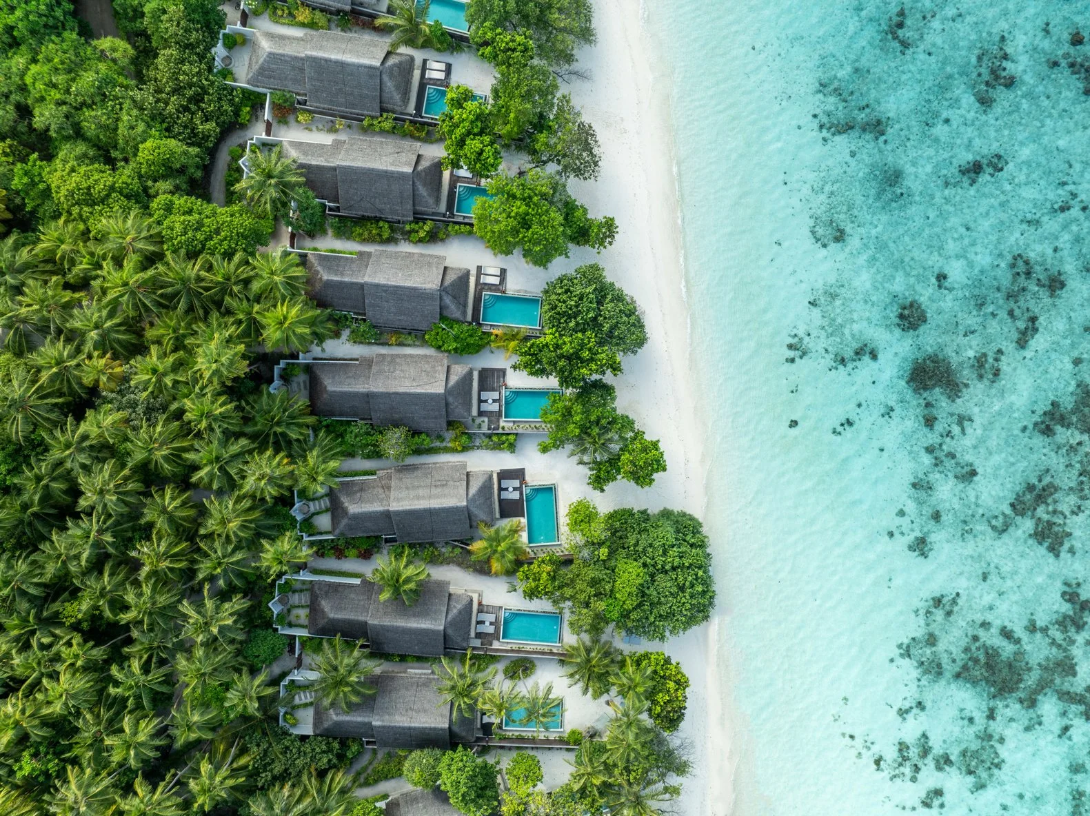 Dusit Thani Maldives - Beachfront Pool Villa