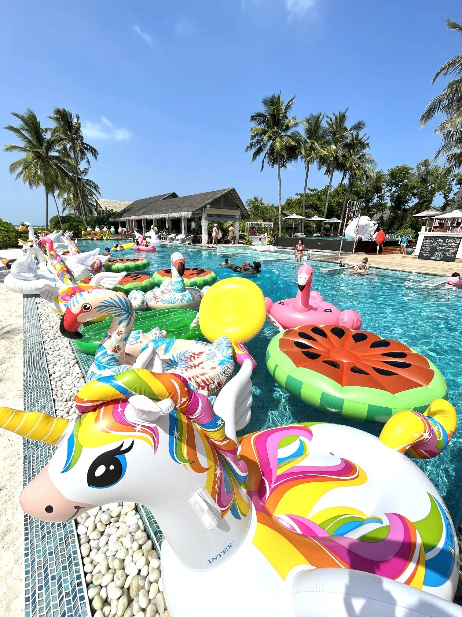 Cora Cora - Flaunting Floats