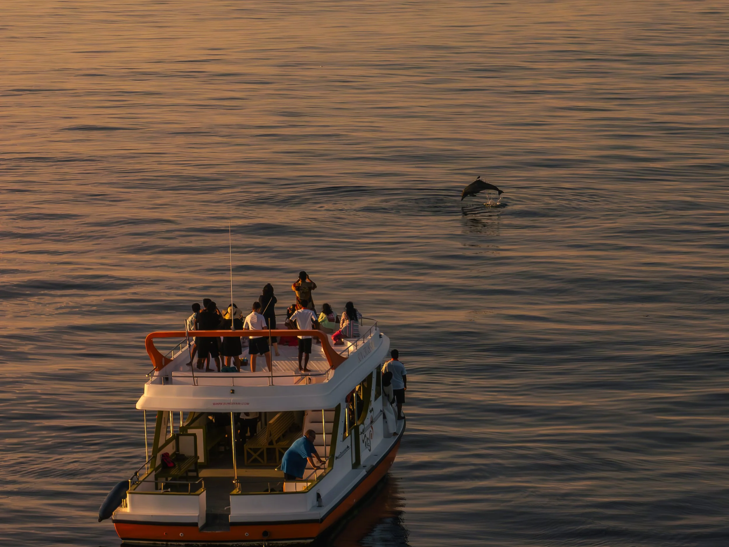 SSOV_Sunset & Dolphin Excursion_2024-62.jpg