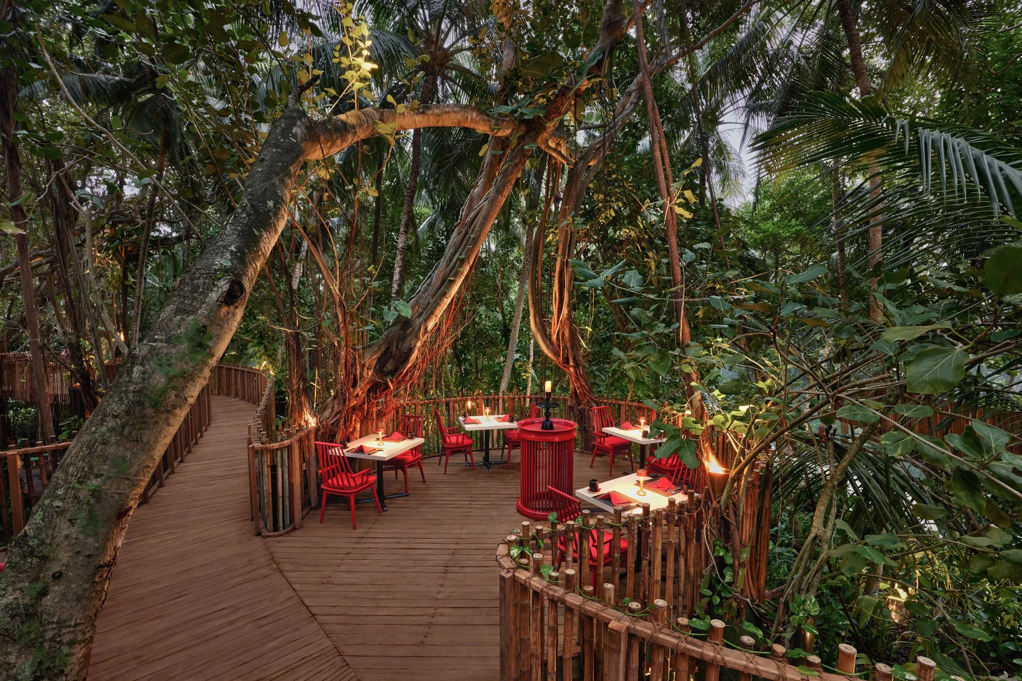 Niyama Private Island - Nest Tree Top Dining