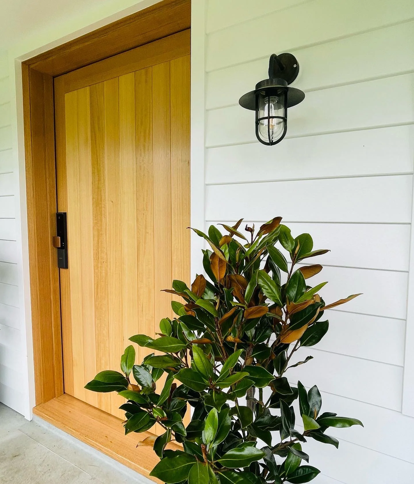 Saxon Entry

Custom Tas Oak Door
Samsung Handle
Light - beacon lighting
Plant - Magnolia Teddy bear
James Hardie Linea - Lexicon 1/4