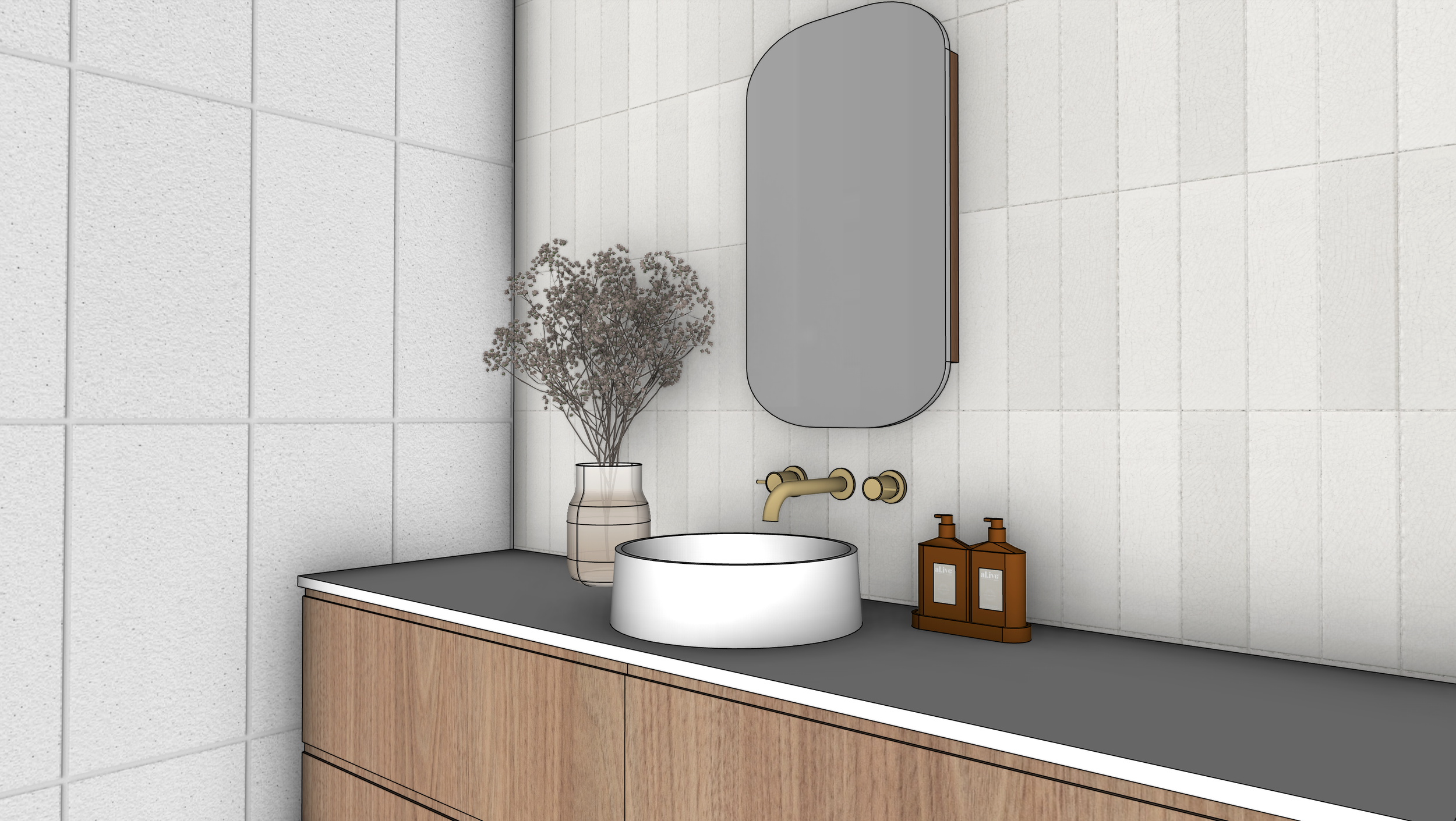 Saxon Ensuite - Render