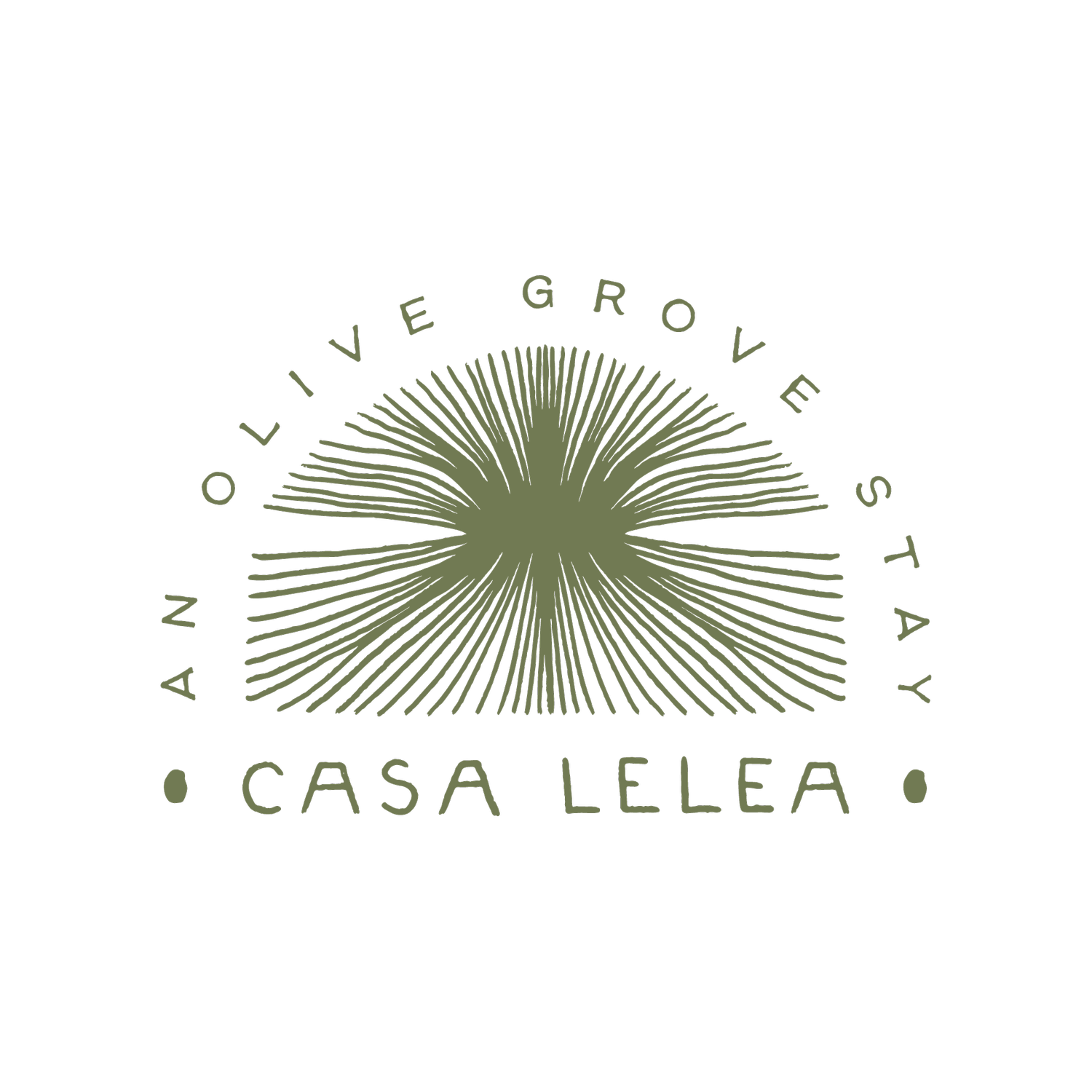 Casa Lelea