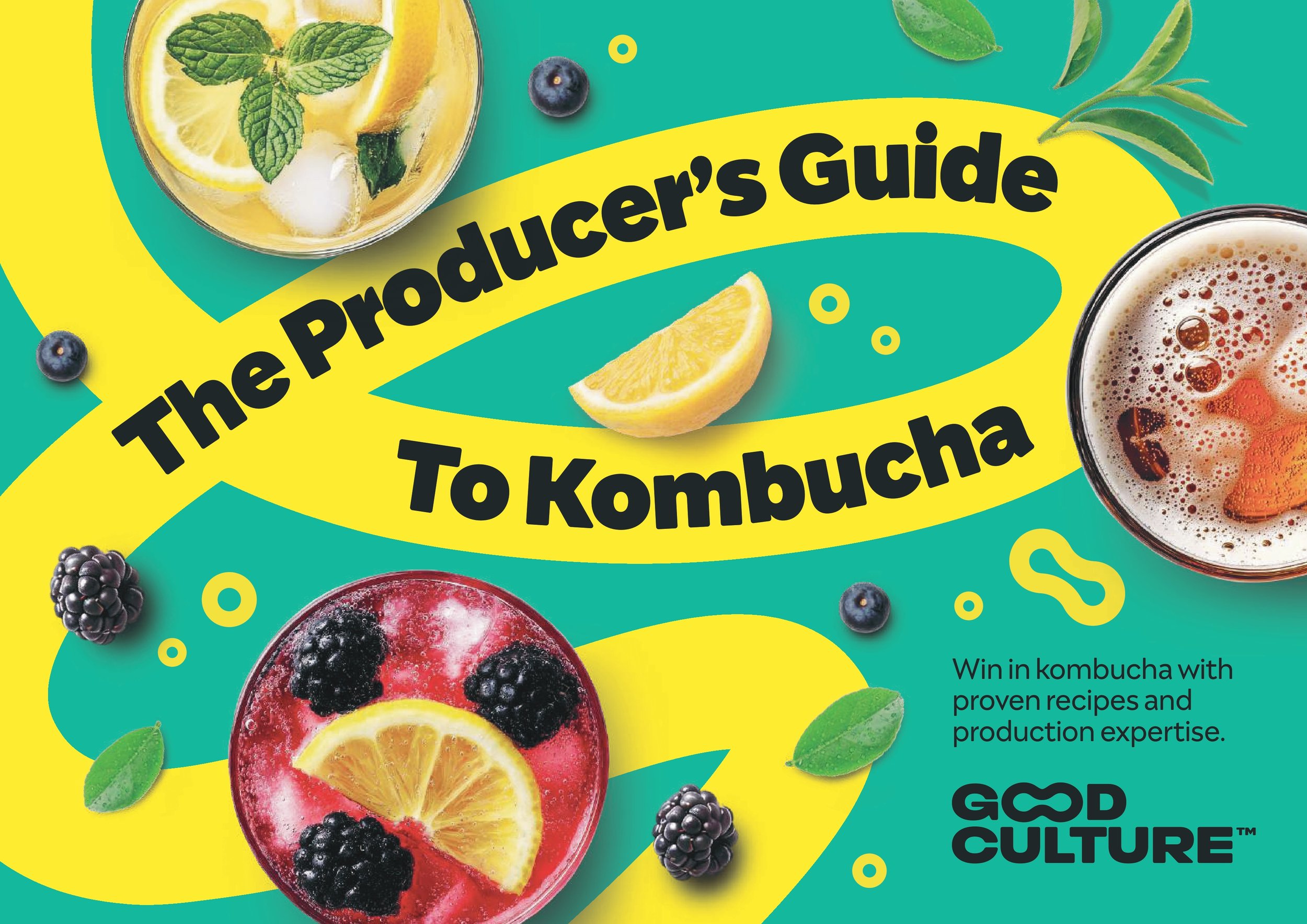 Two bottles of organic kombucha probiotic drinks, one in a green can labeled 'Sparkling Apple & Lemon' and one in a clear plastic bottle labeled 'Sparkling Ginger & Lemon,' sit on a wooden surface with a brick wall and sink in the background.